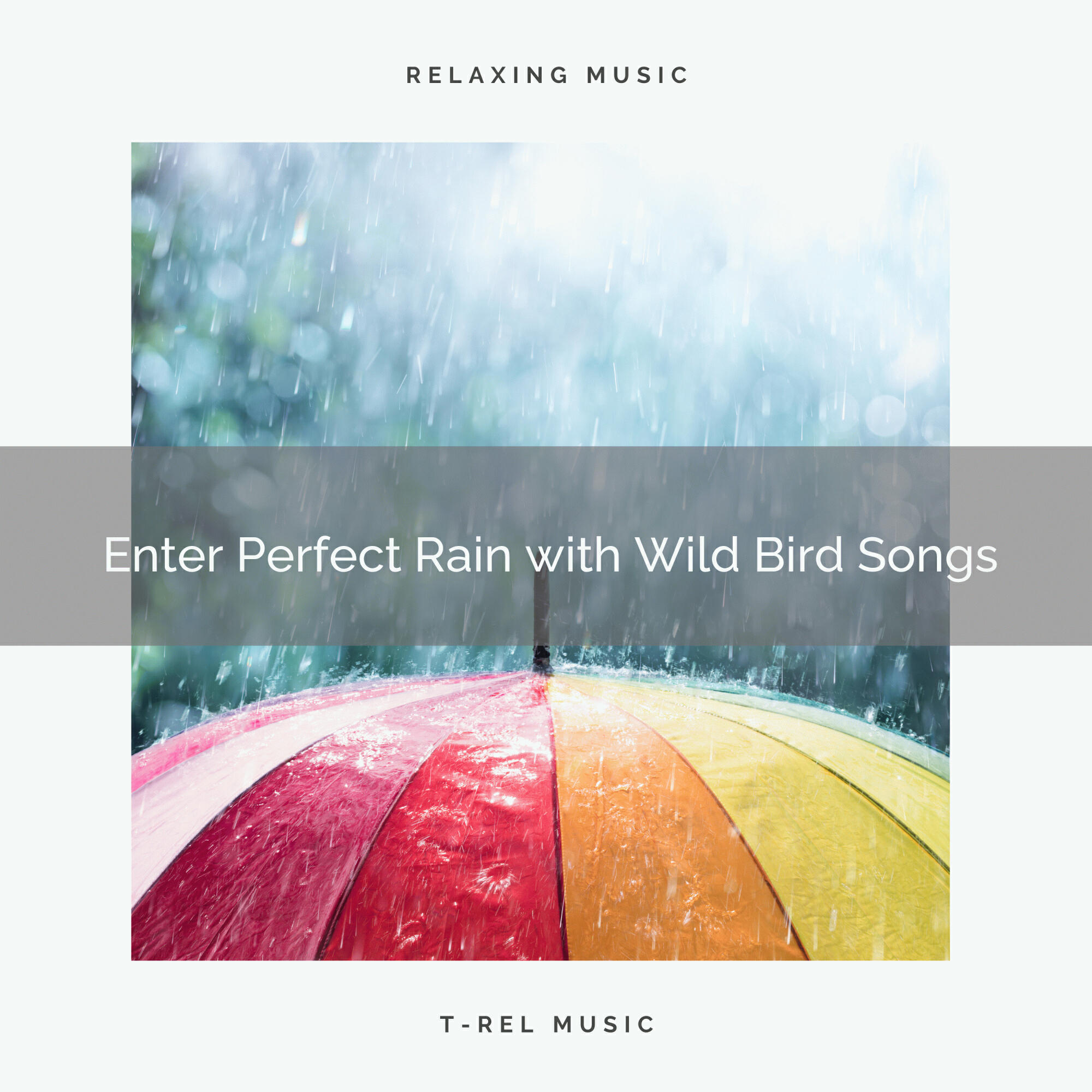 Релиз ! ! ! ! ! ! Enter Perfect Rain with Wild Bird Songs