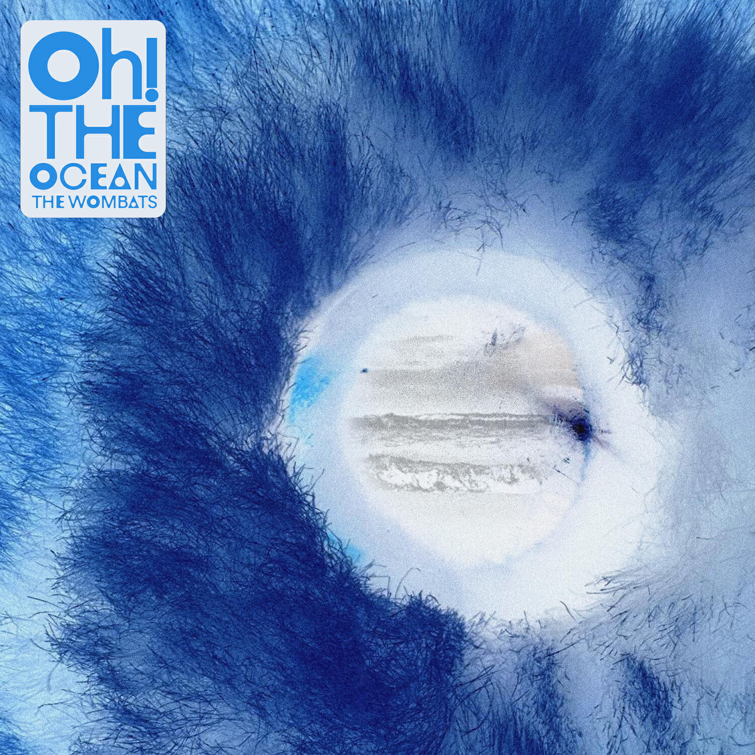 Релиз Oh! The Ocean: Holy Sugar