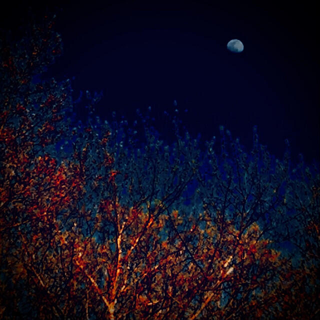 Релиз Calypso for Blue Moon & Thermal Thicket