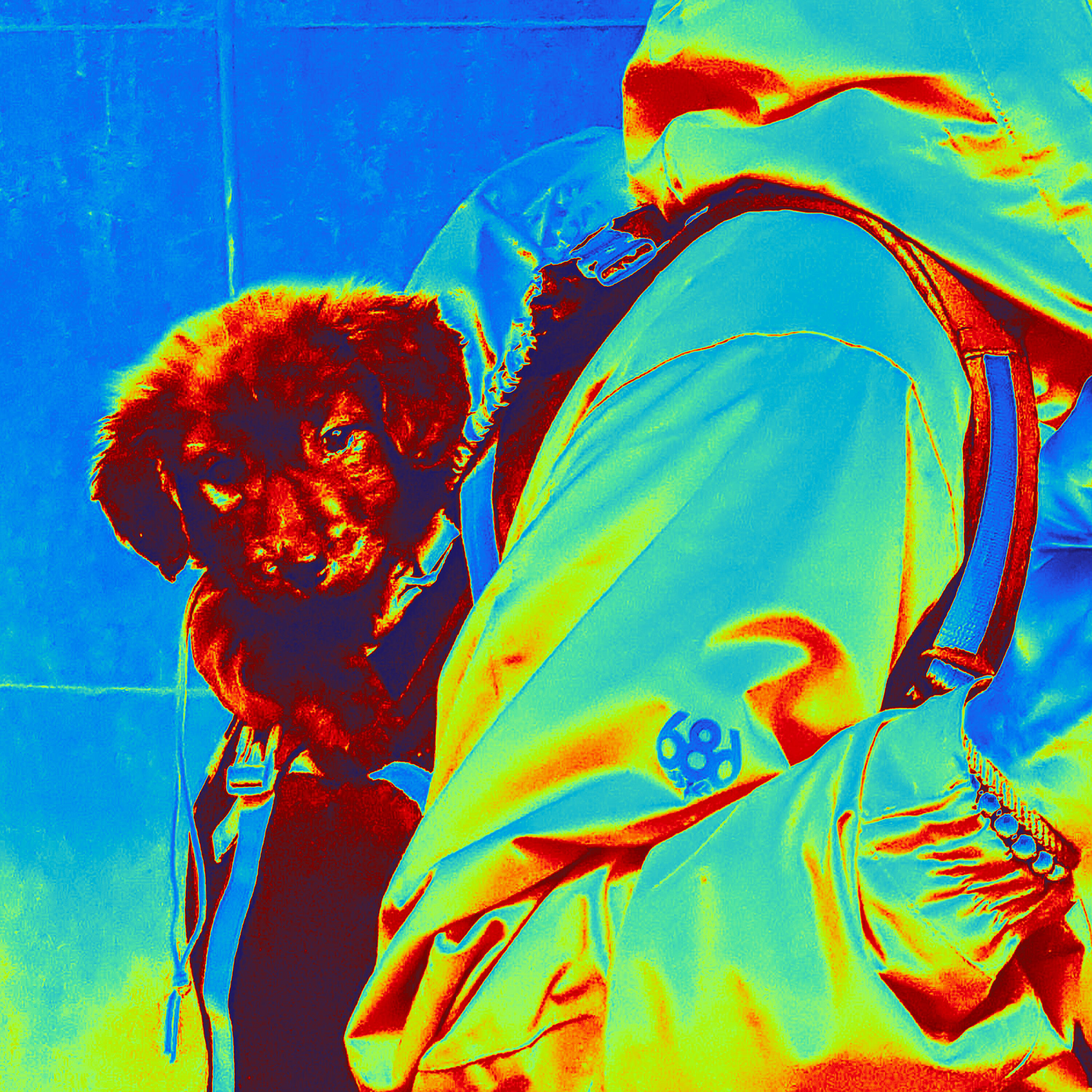 Rex, Il Tano - Memento