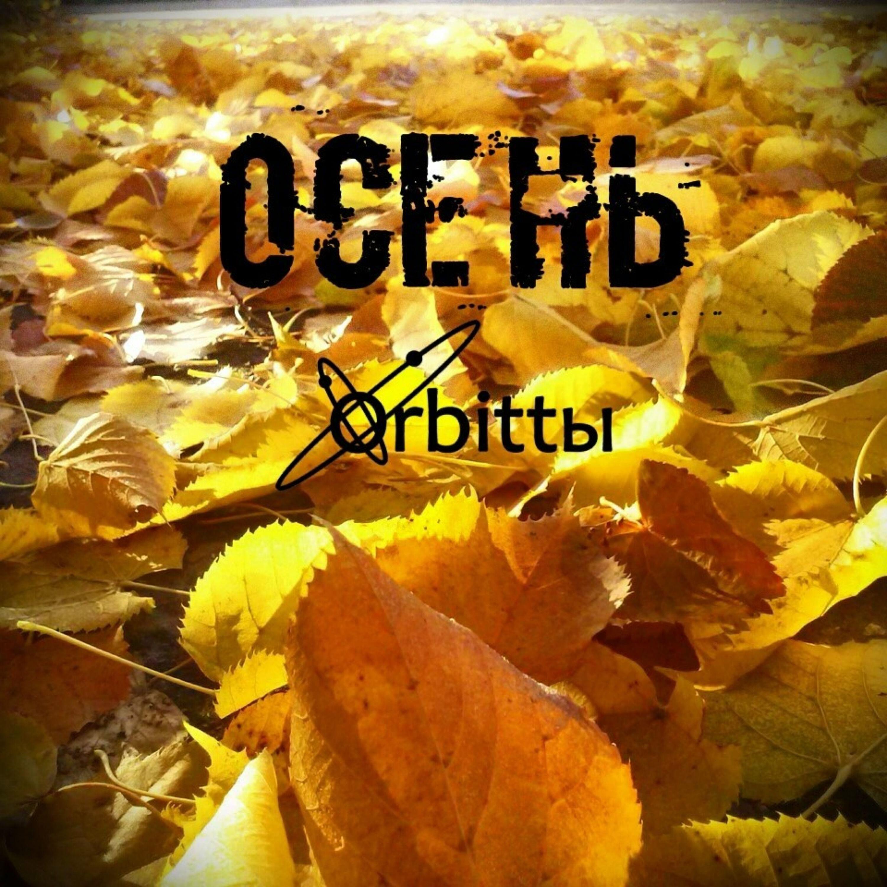 Orbittы