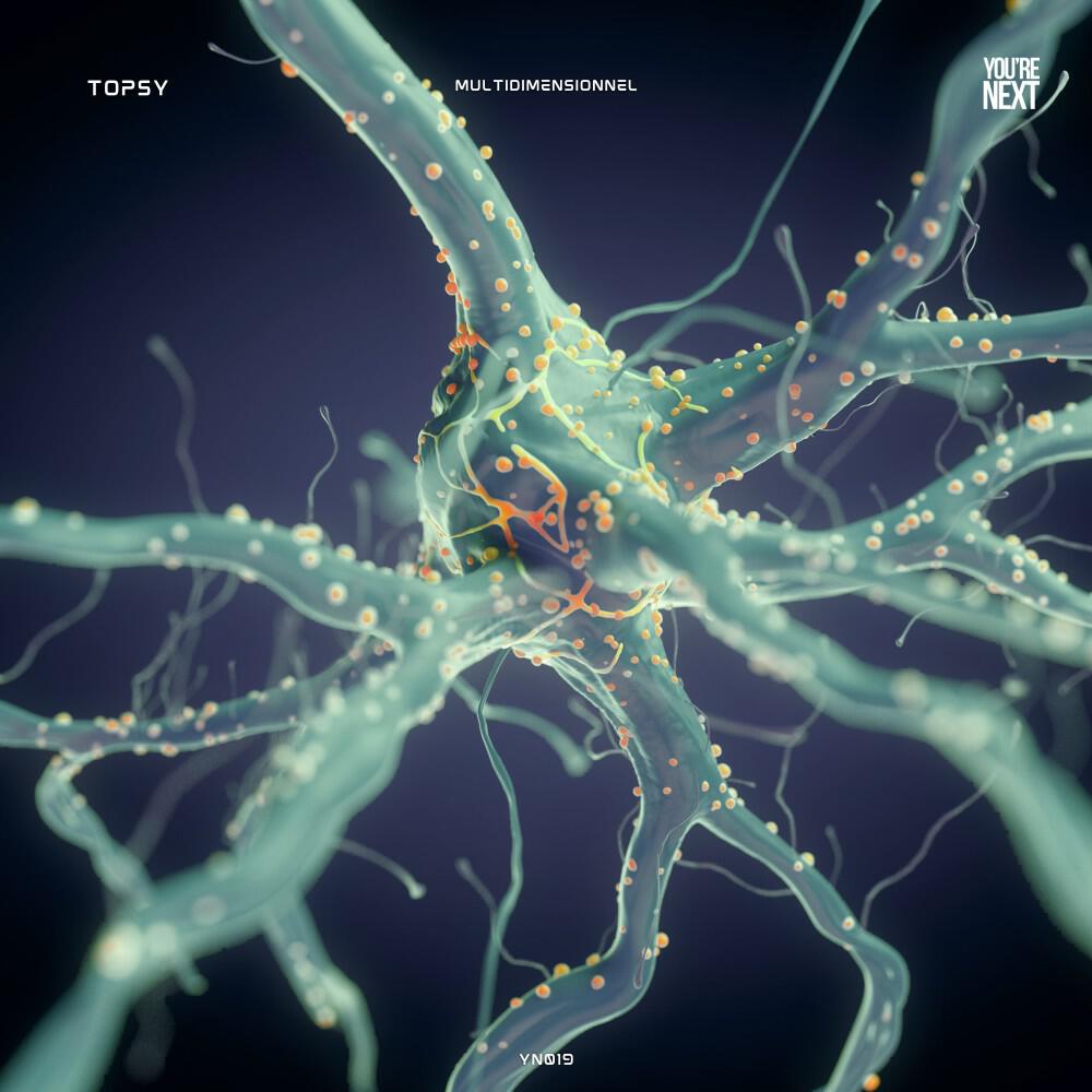 Релиз Multidimensionnel
