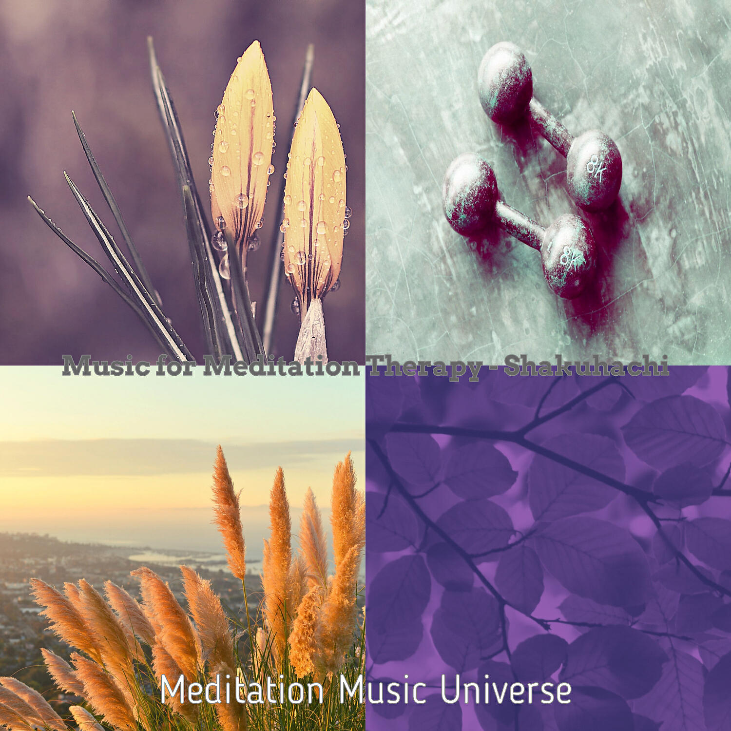 Релиз Music for Meditation Therapy - Shakuhachi