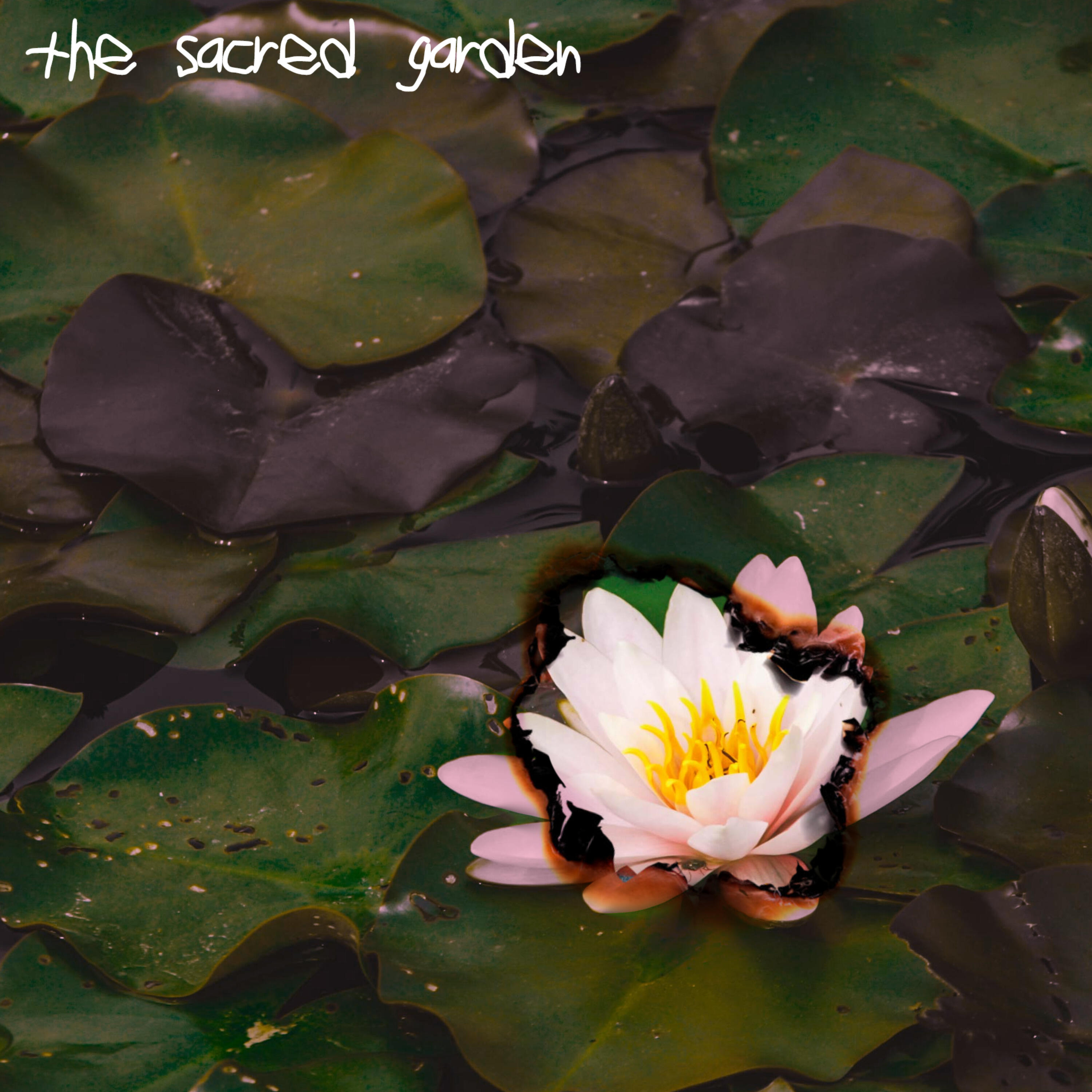 Релиз THE SACRED GARDEN
