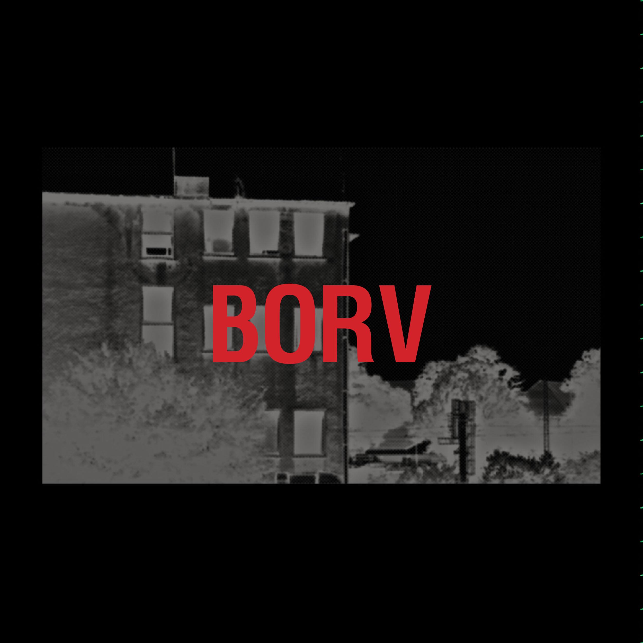 Релиз BORV