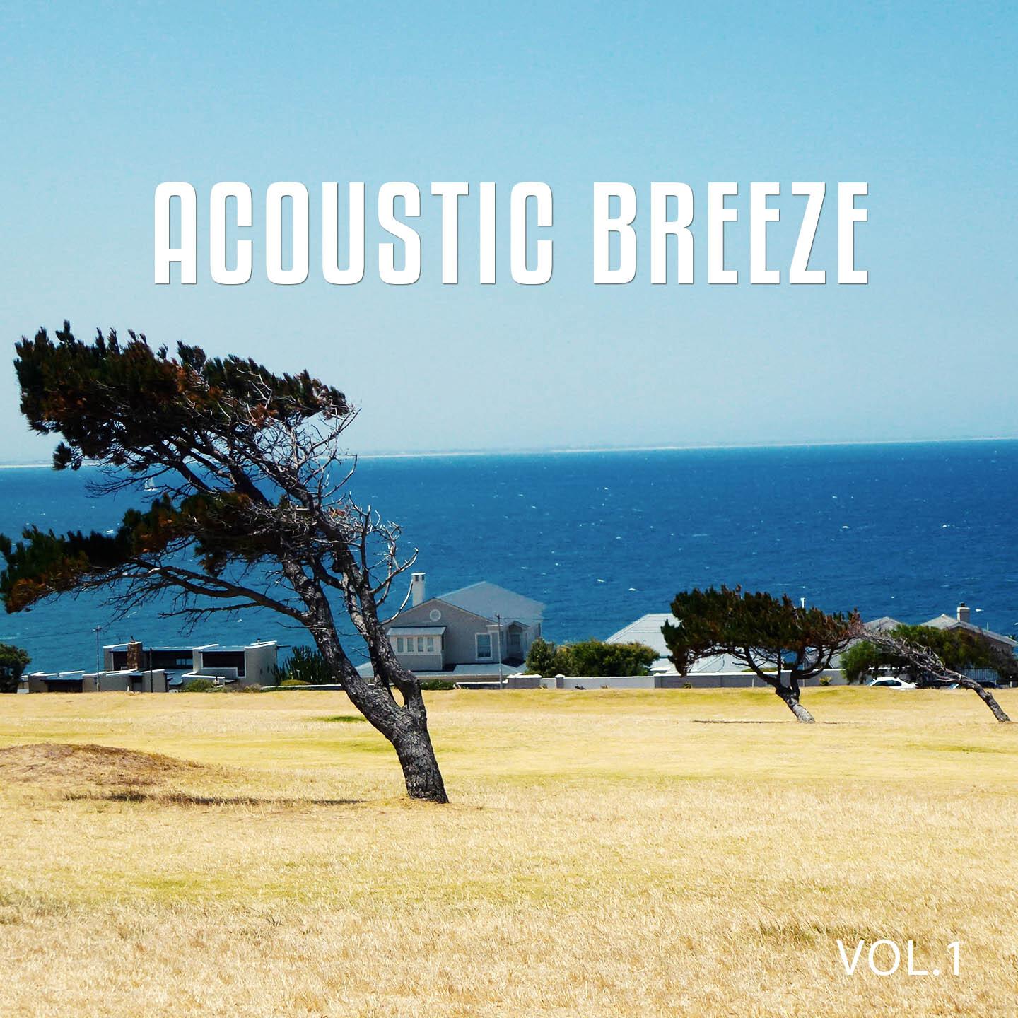 Релиз Acoustic Breeze, Vol. 1
