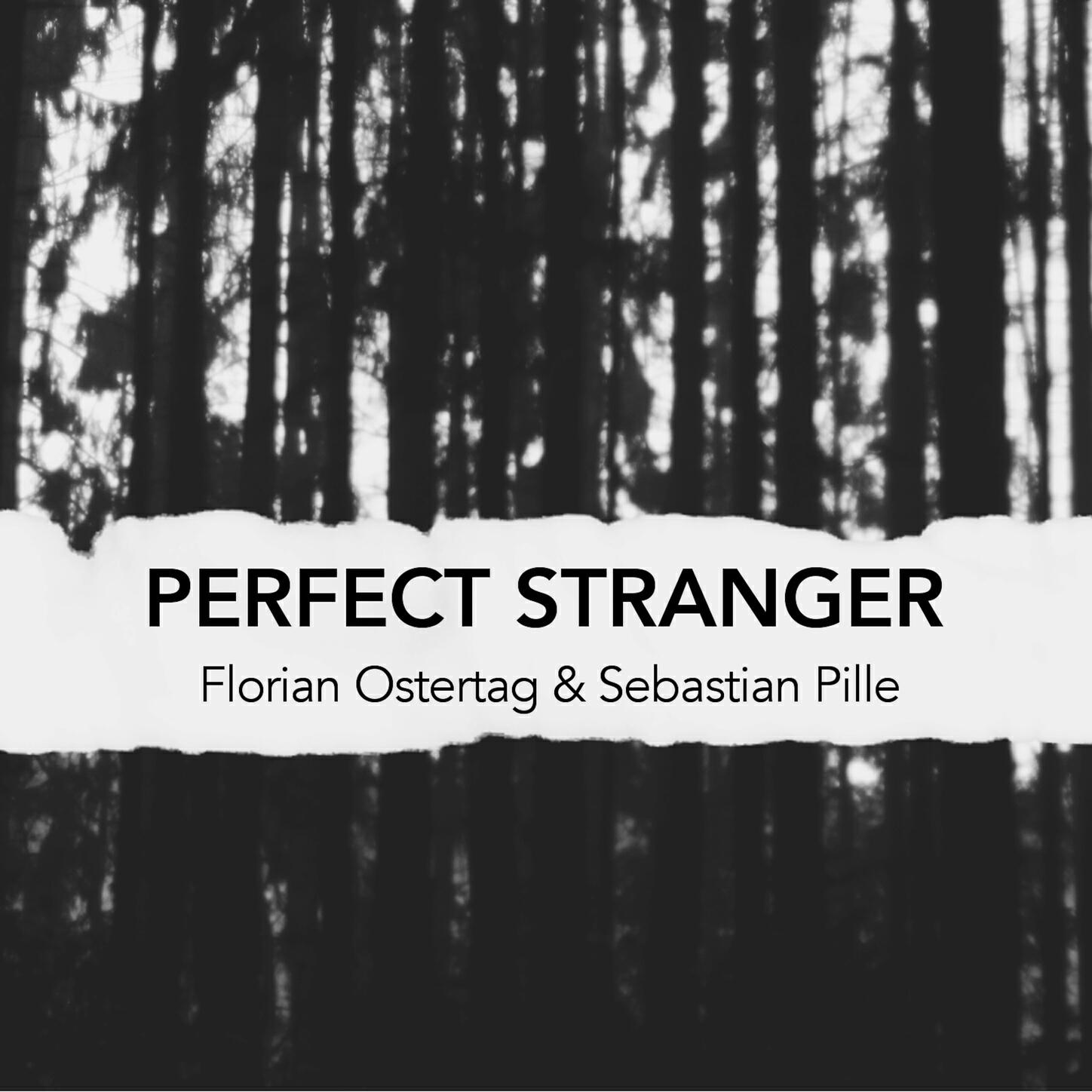 Релиз Perfect Stranger