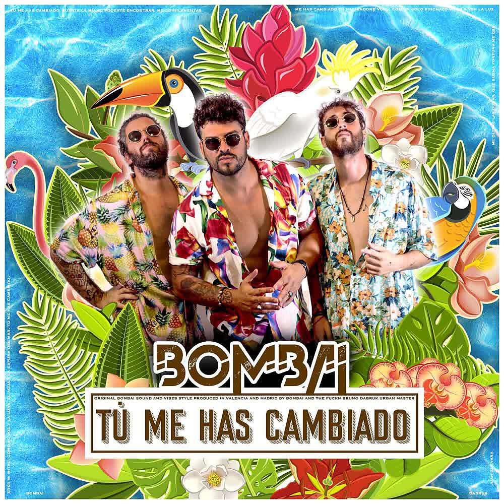 Релиз Tú Me Has Cambiado