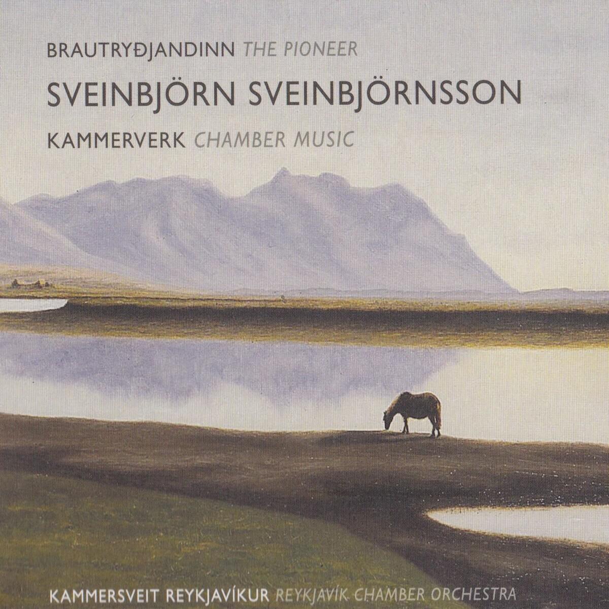 Релиз Sveinbjörn Sveinbjörnsson - Brautryðjandinn