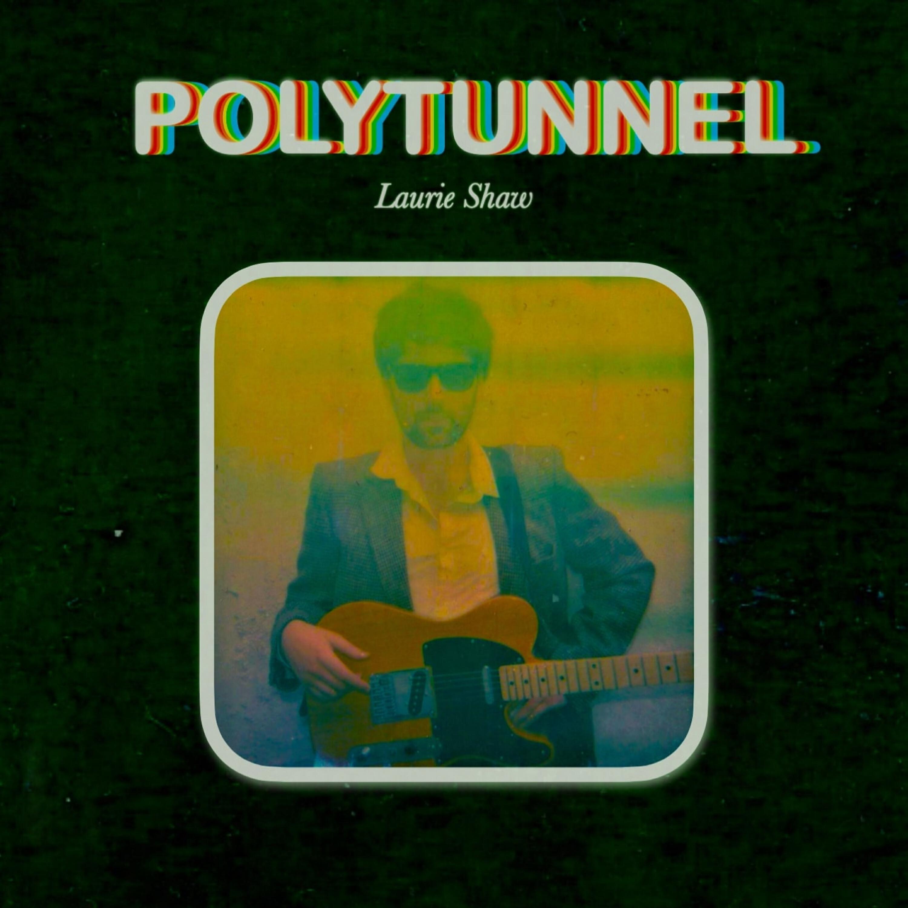 Релиз Polytunnel