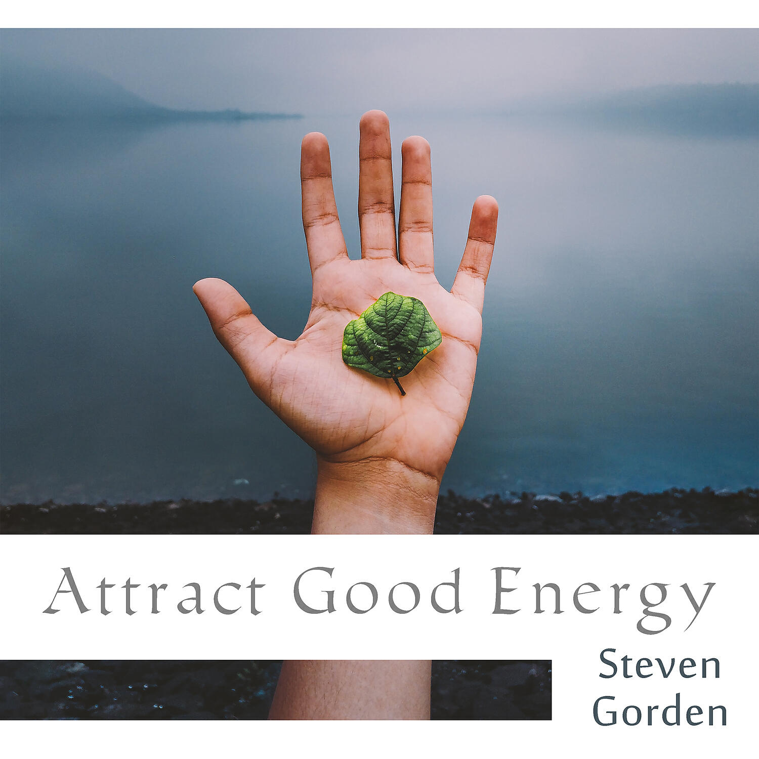Релиз Attract Good Energy: Secret of Good Vibes