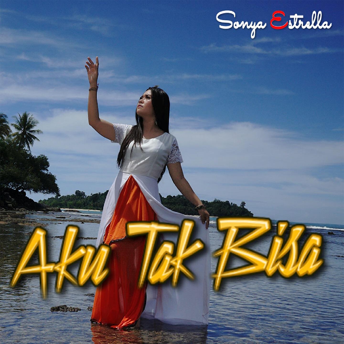 Релиз Aku Tak Bisa