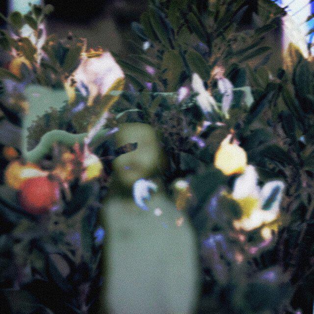 Релиз Everything