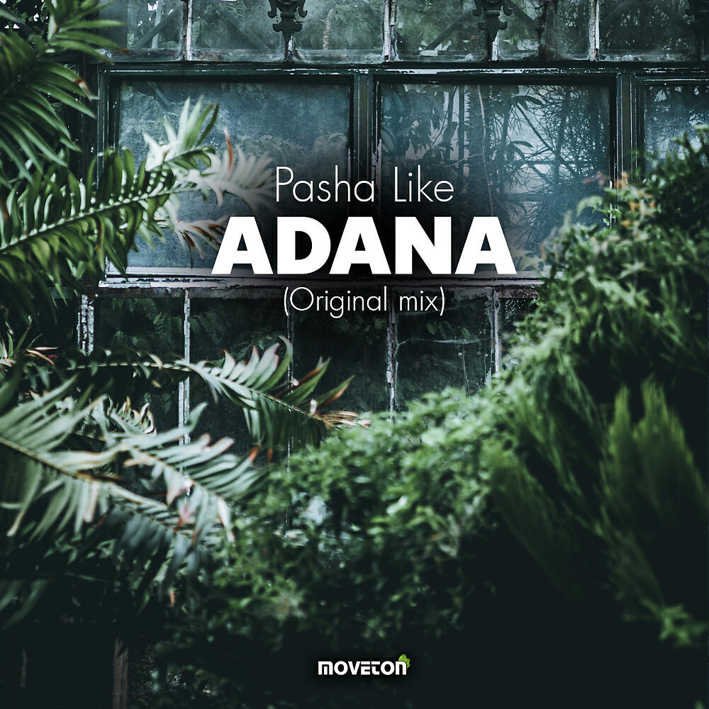 Релиз Adana