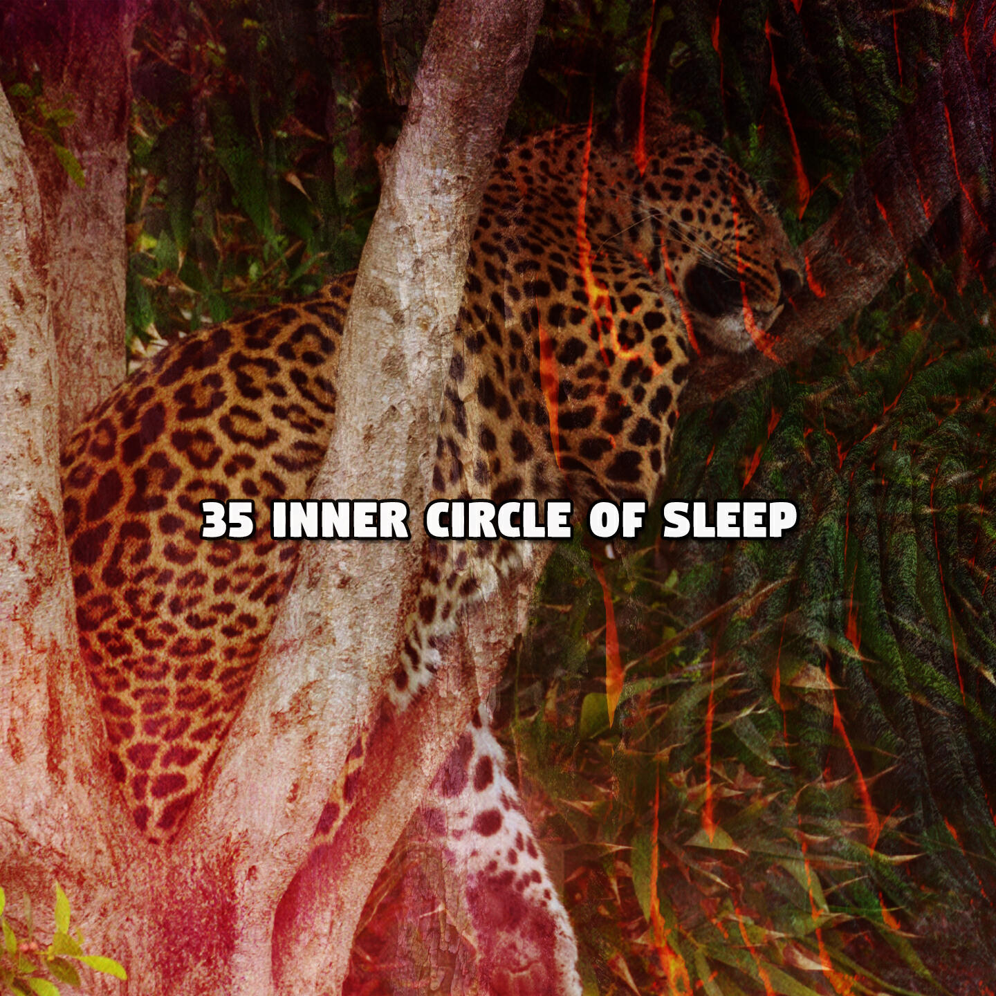 Релиз 35 Inner Circle Of Sleep