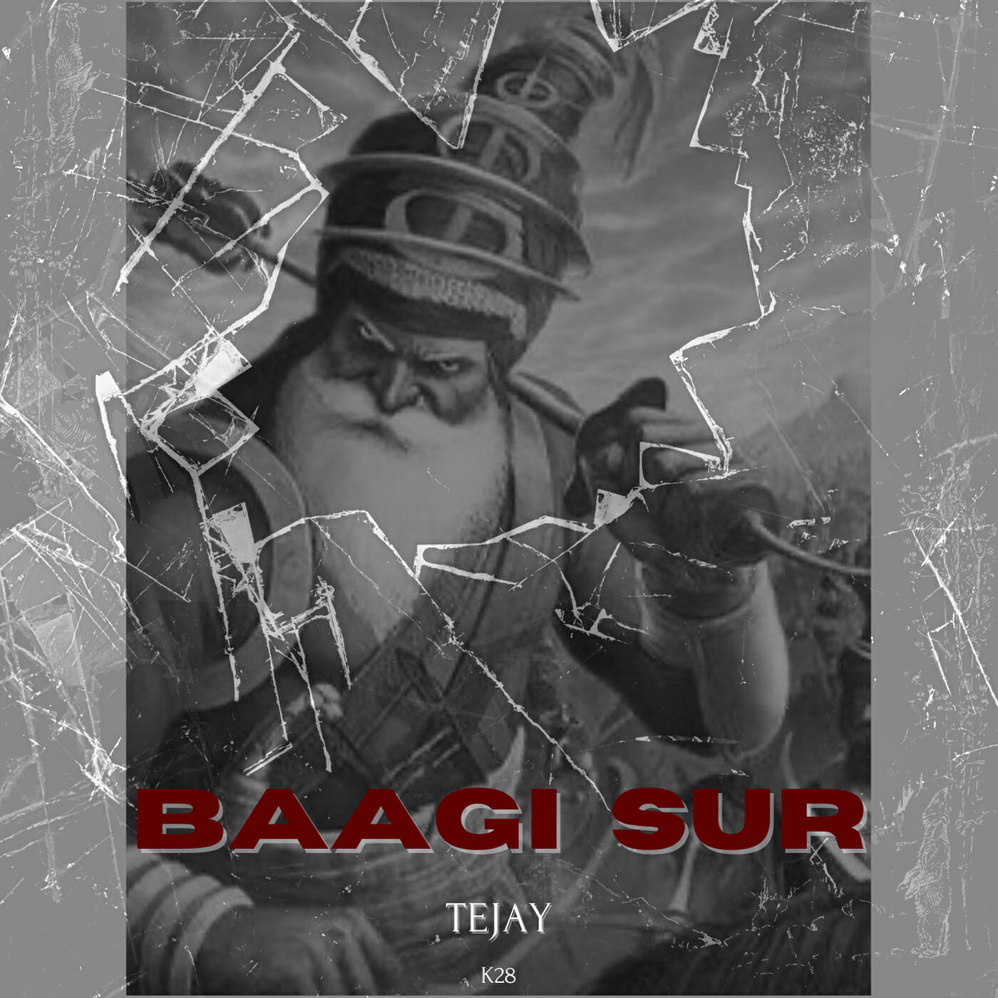 Релиз Baagi Sur
