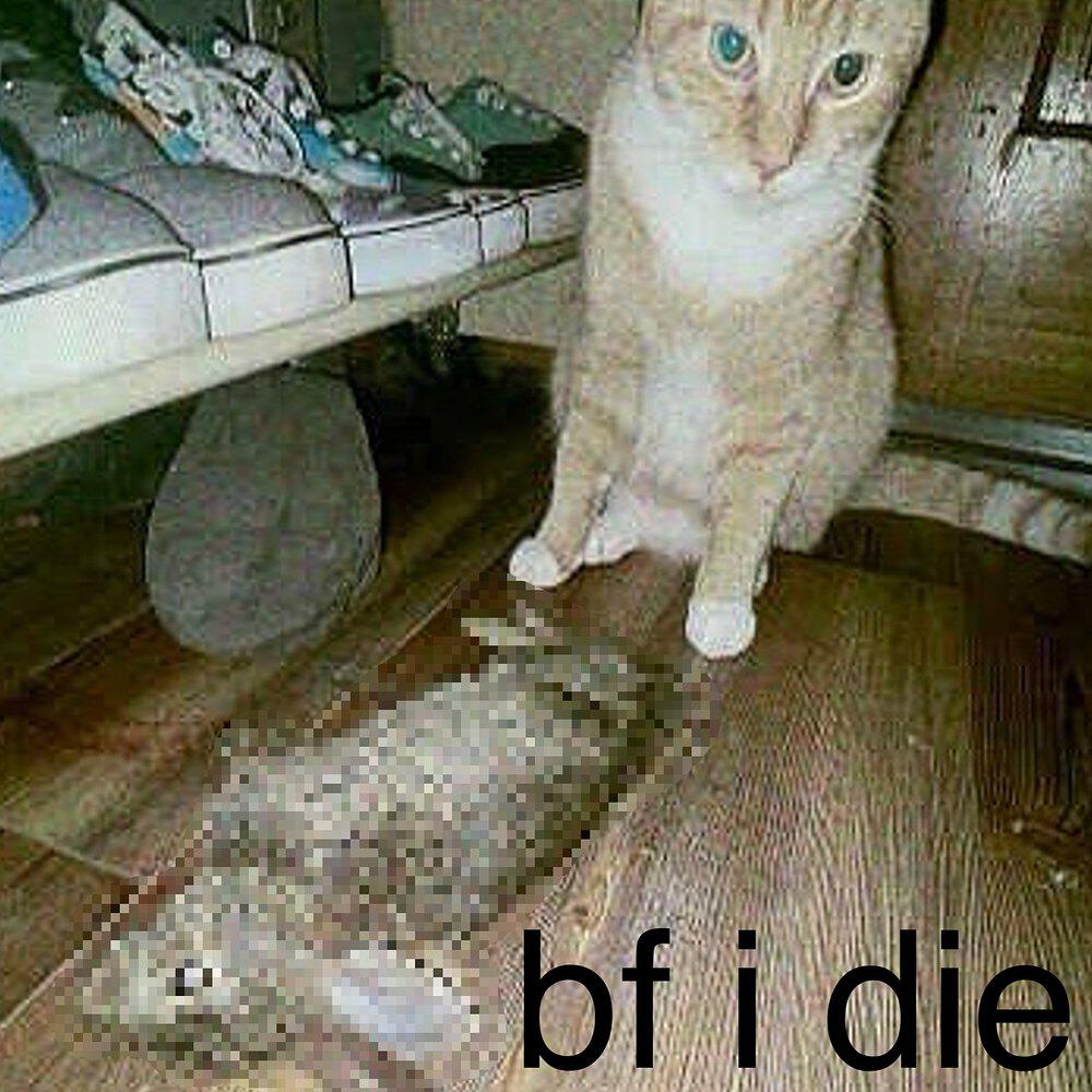 Релиз Bf I Die