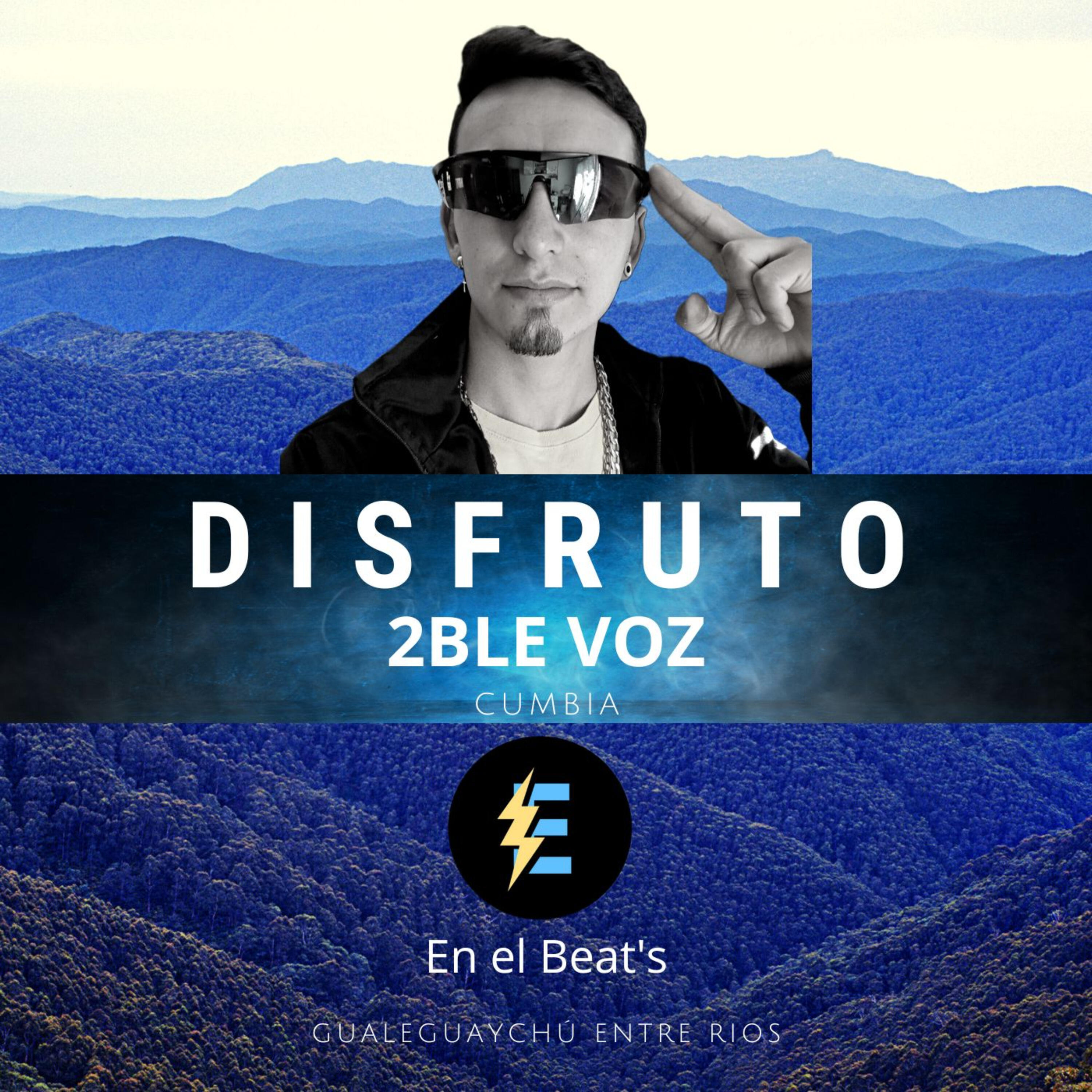 Релиз Disfruto