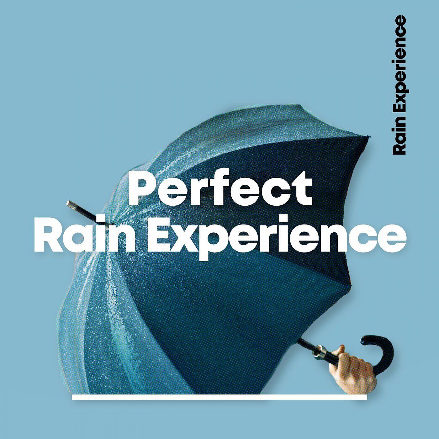 Релиз Perfect Rain Experience