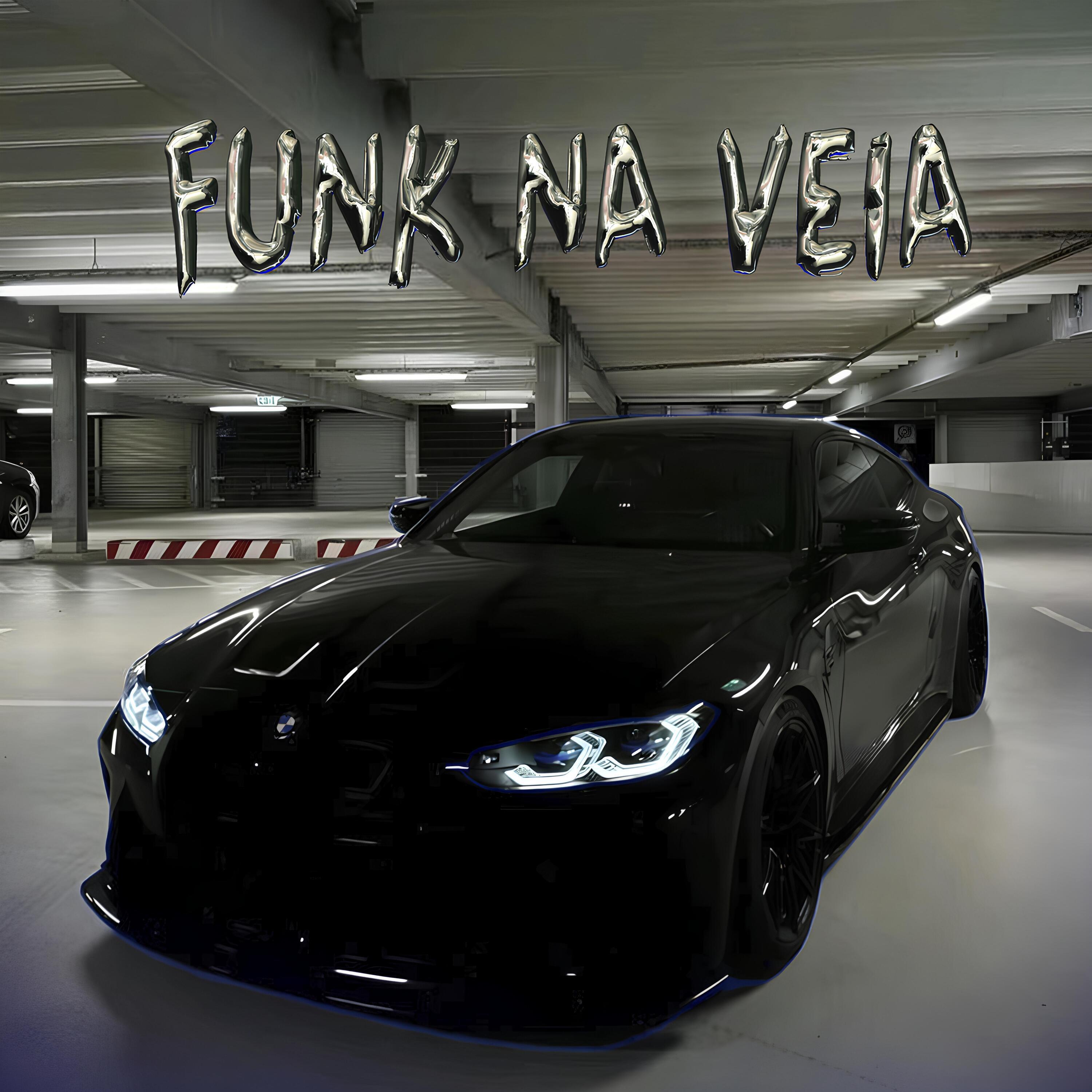 Релиз FUNK NA VEIA
