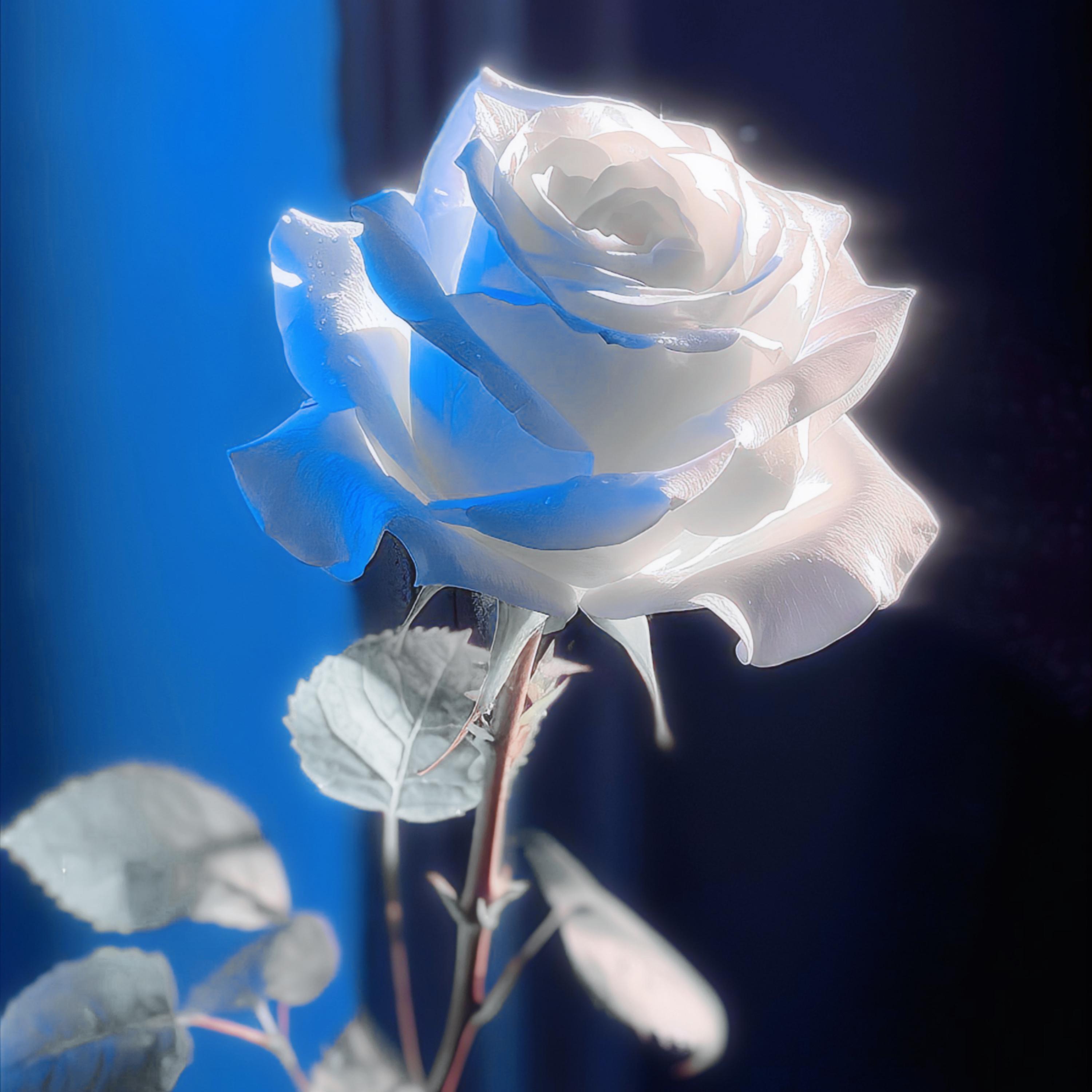 Релиз 天亮了我输了一切