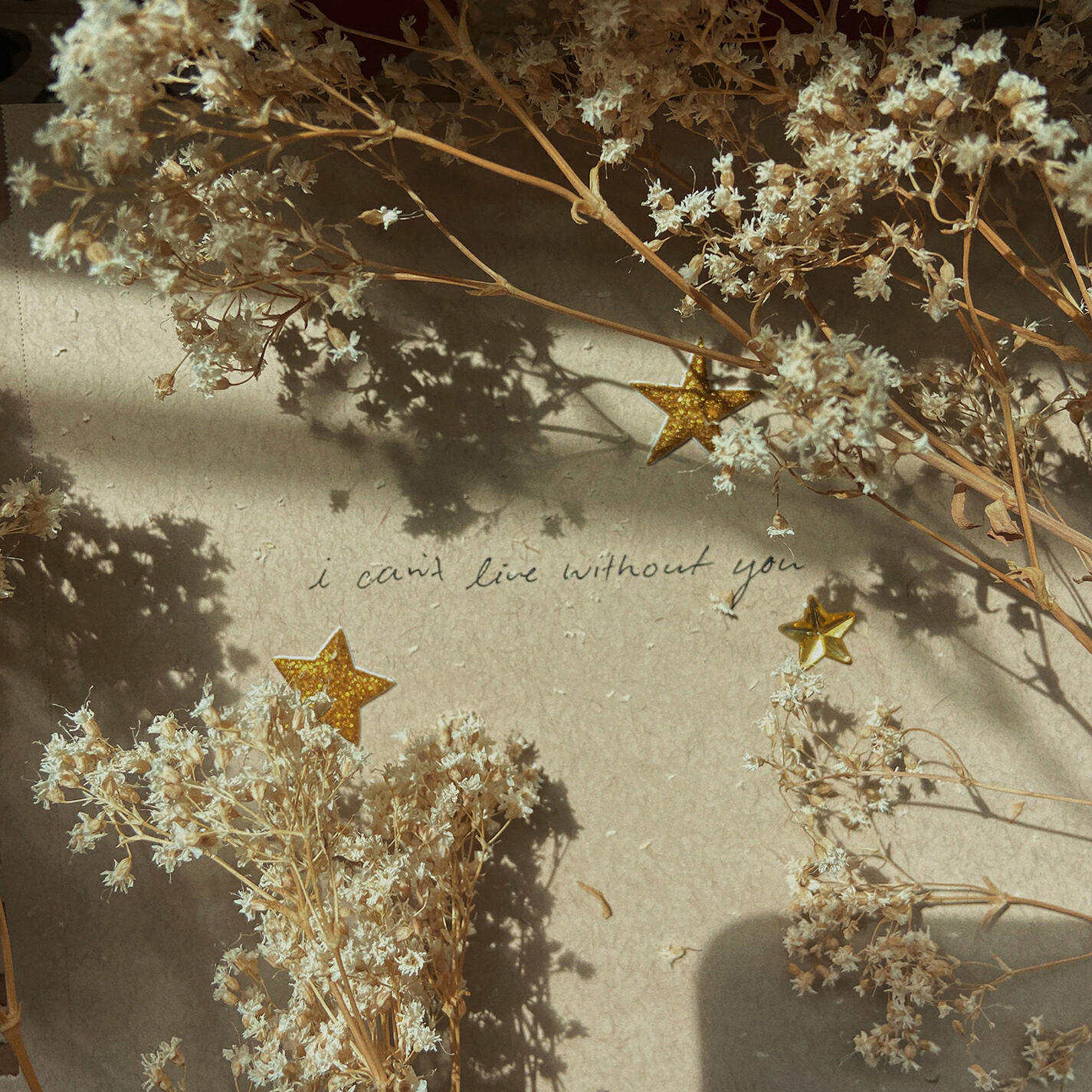 Релиз I can’t live without you (feat. Charlie Oriain)