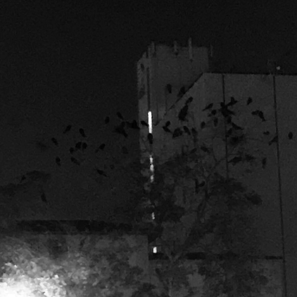 Релиз Alone in My Room