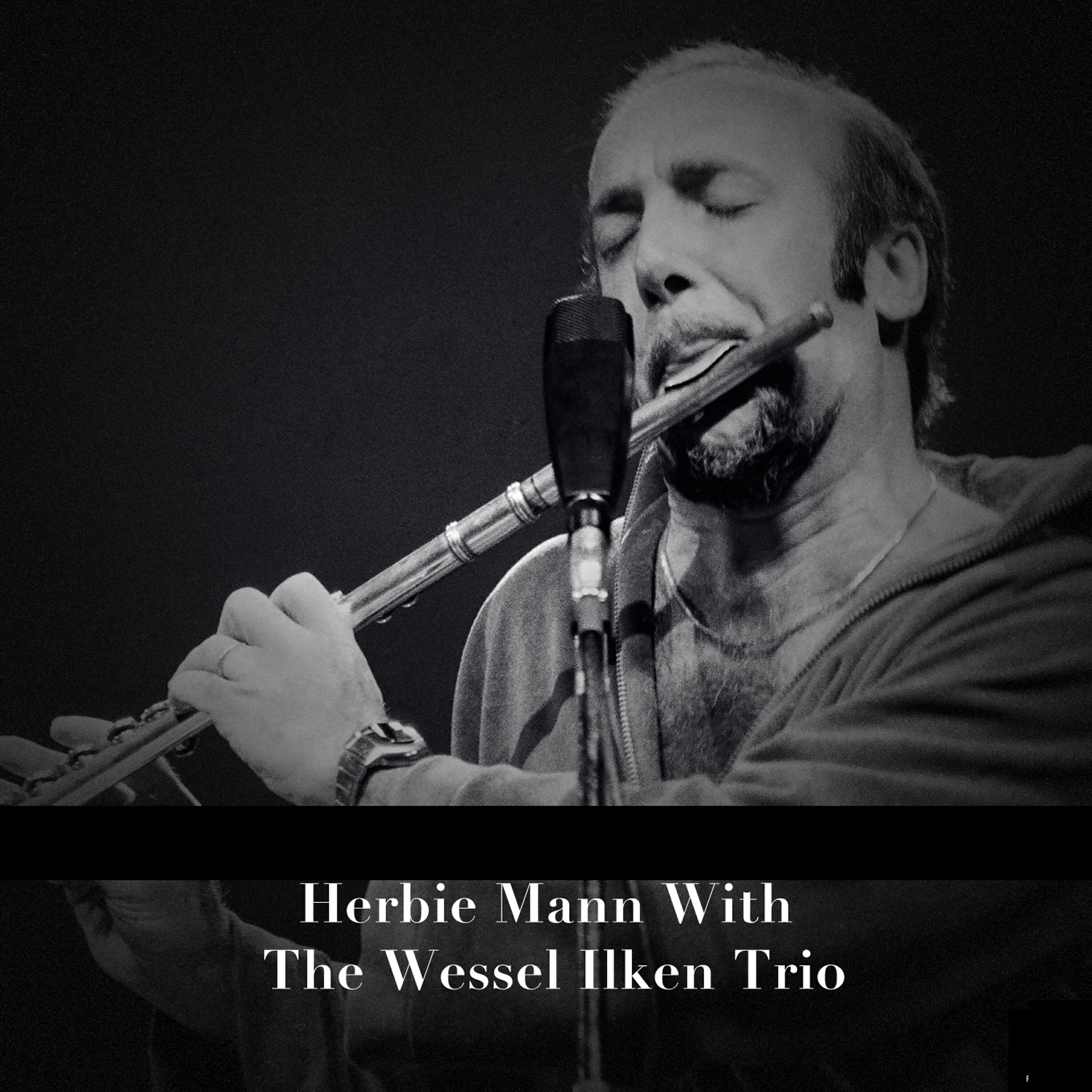 Wessel Ilken Trio
