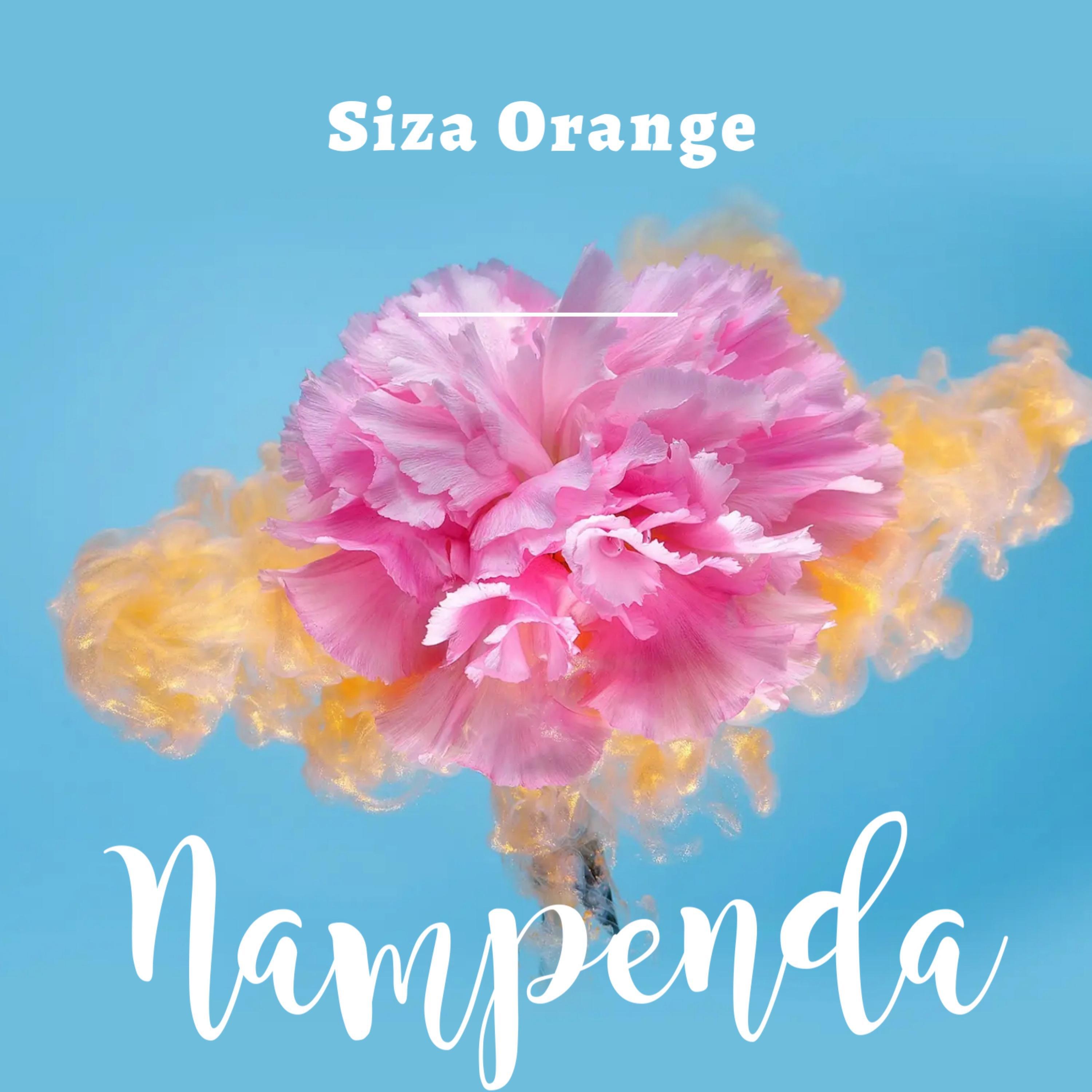 Релиз Nampenda