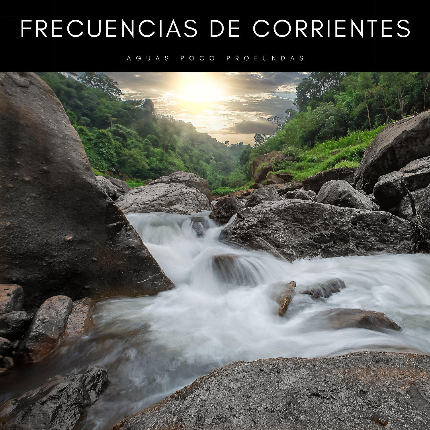 Постер альбома Frecuencias De Corrientes: Aguas Poco Profundas