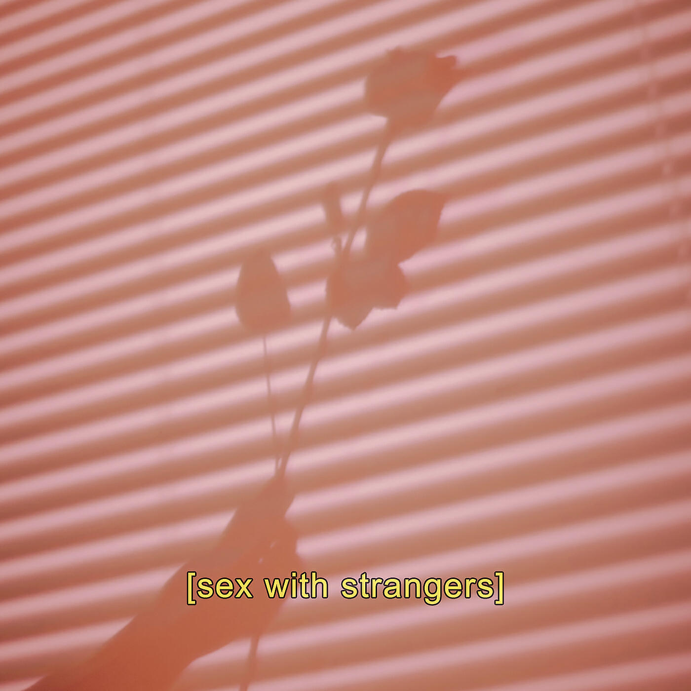Релиз Sex With Strangers