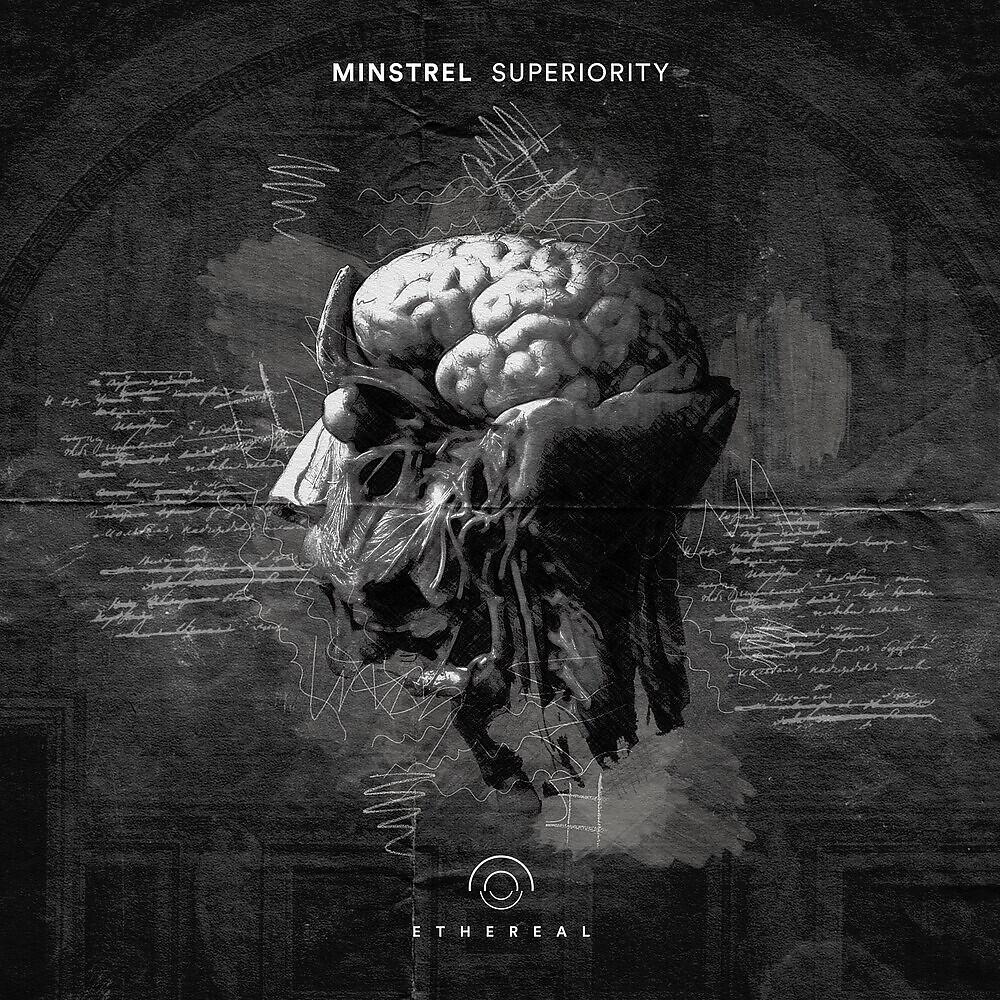 Релиз Superiority