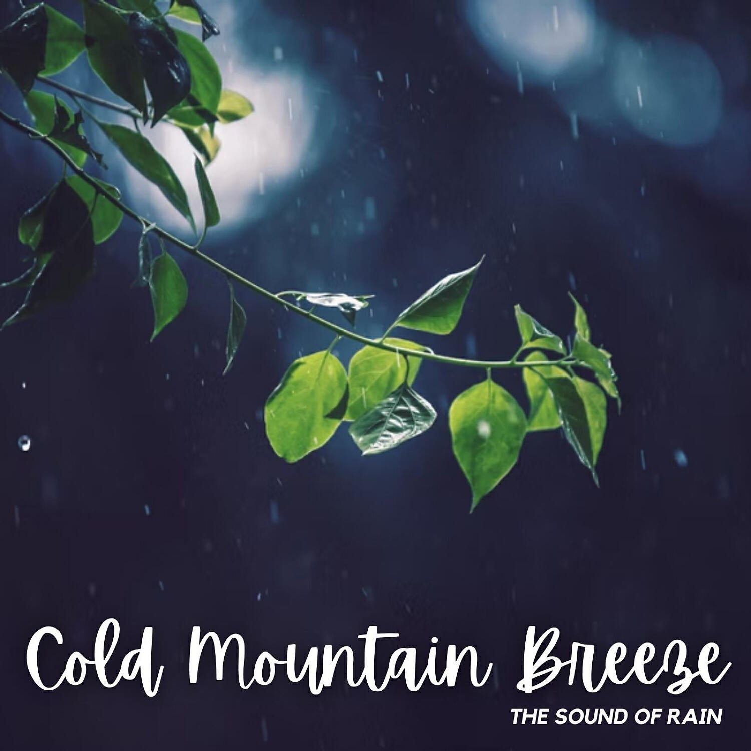 Релиз The Sound of Rain: Cold Mountain Breeze