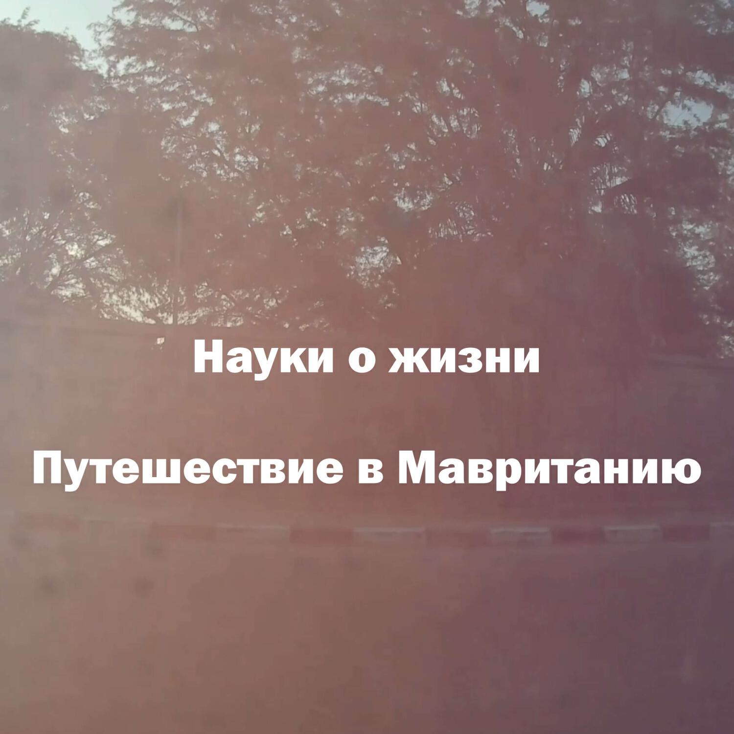 Релиз Путешествие в Мавританию
