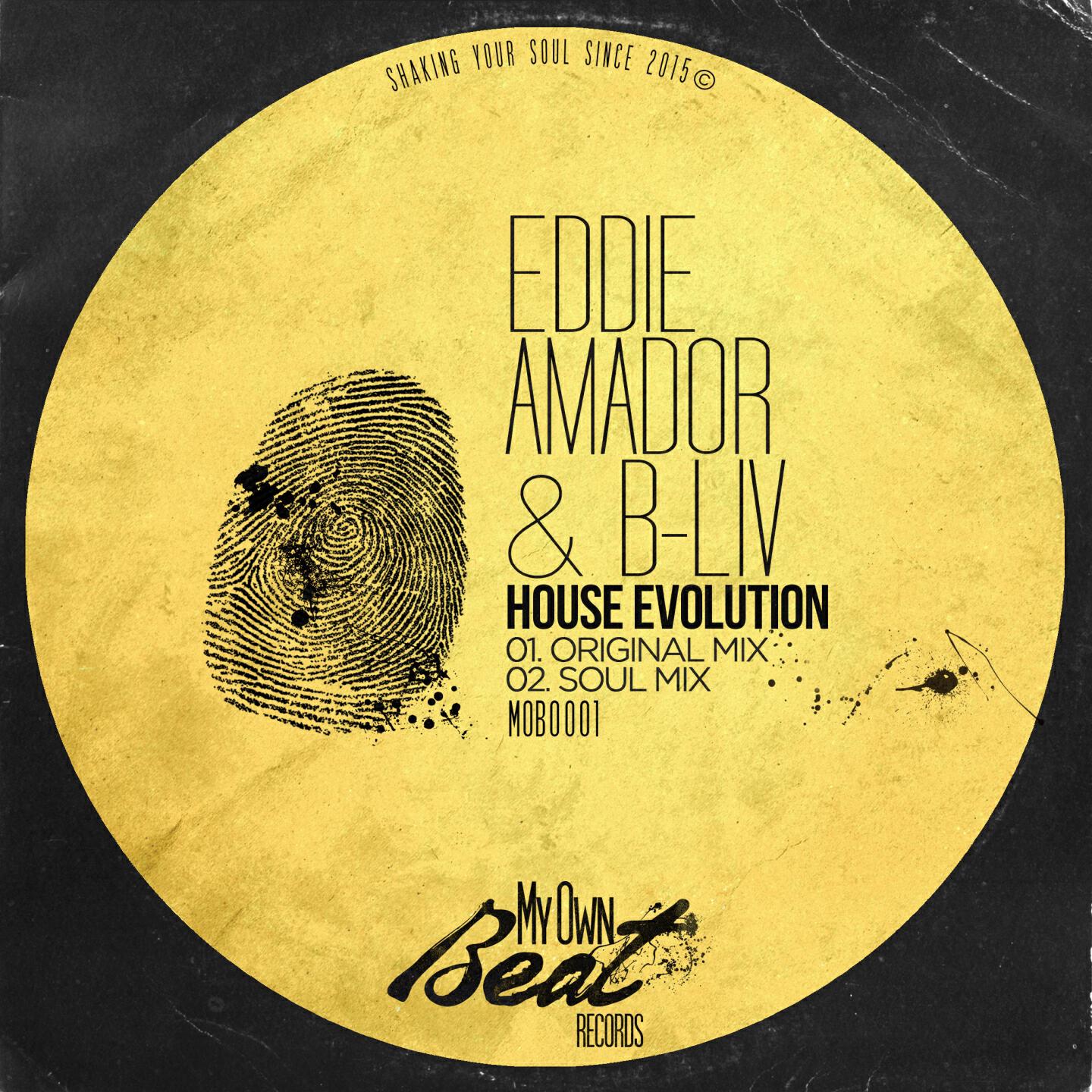 Релиз House Evolution