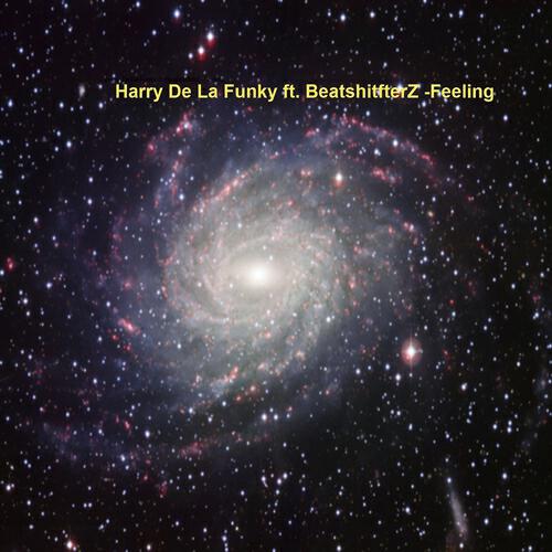 Harry De La Funky