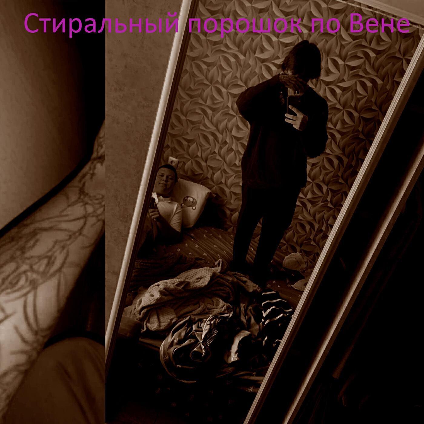 Стиральный порошок по Вене