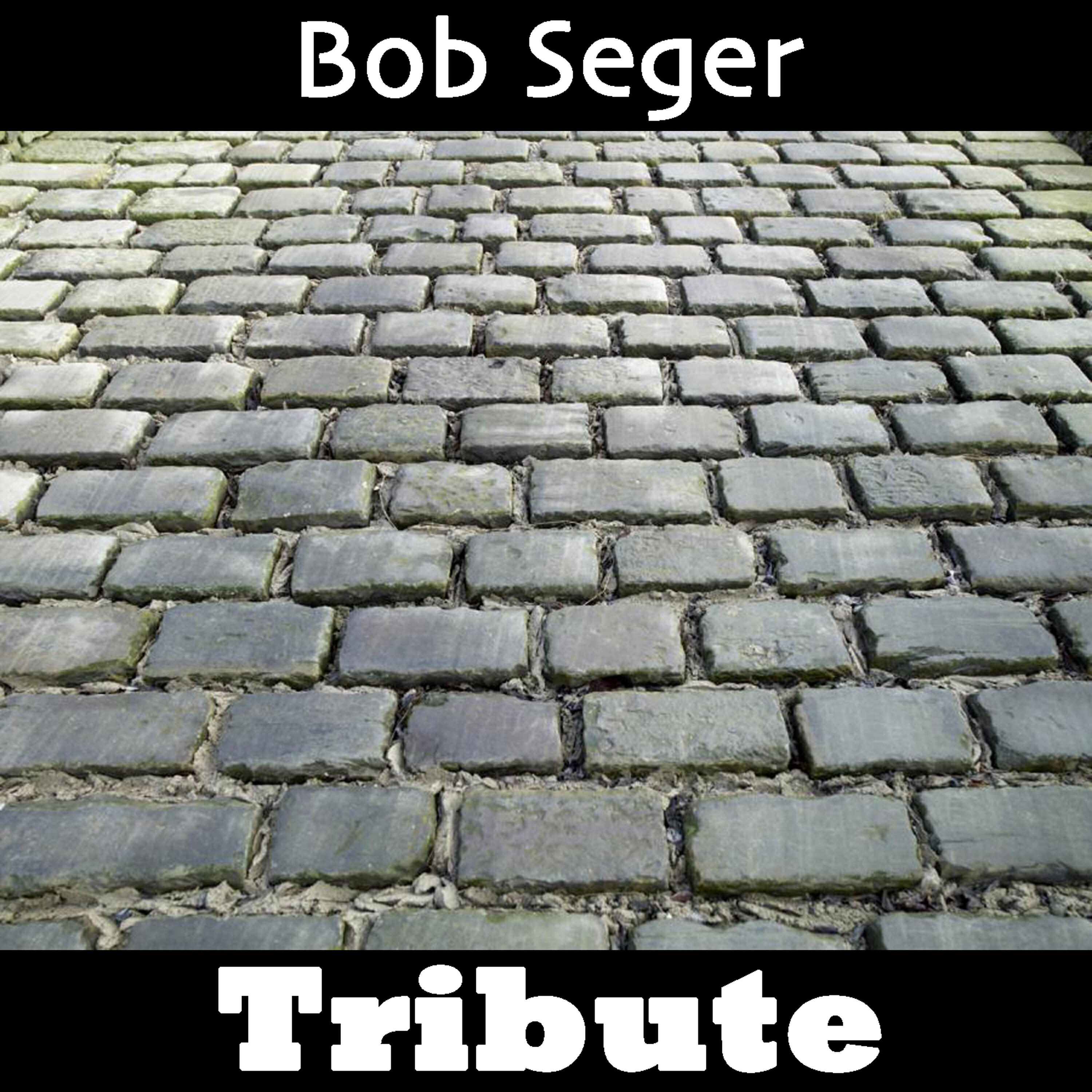 Релиз Hollywood Nights: Tribute To Bob Seger