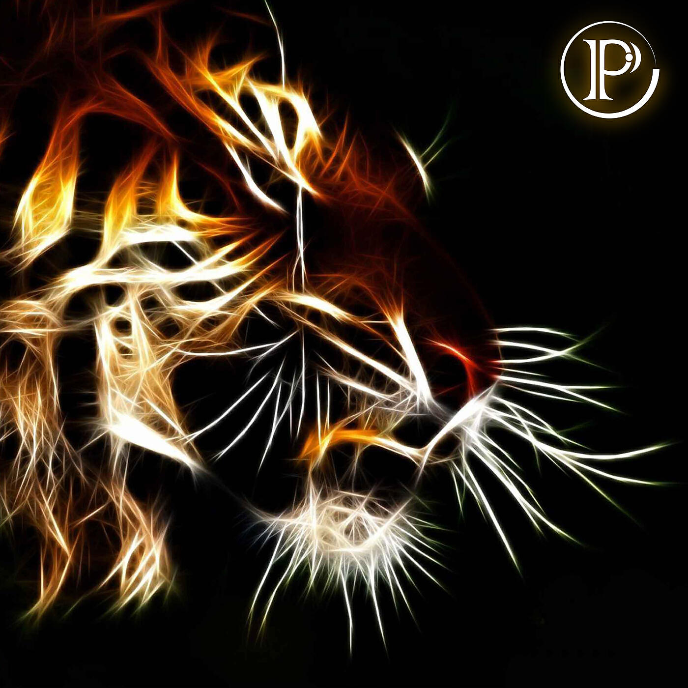 Скачать песню Paolo De Santis - TIGER бесплатно в MP3 для Android и iOS