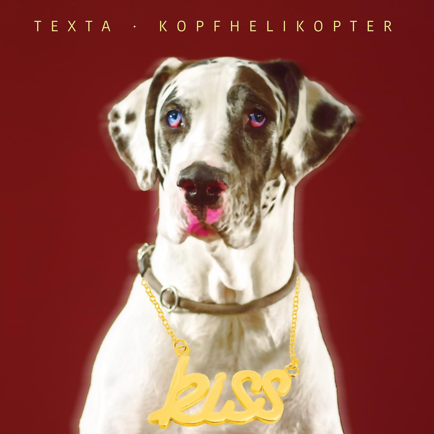 Релиз Kopfhelikopter EP