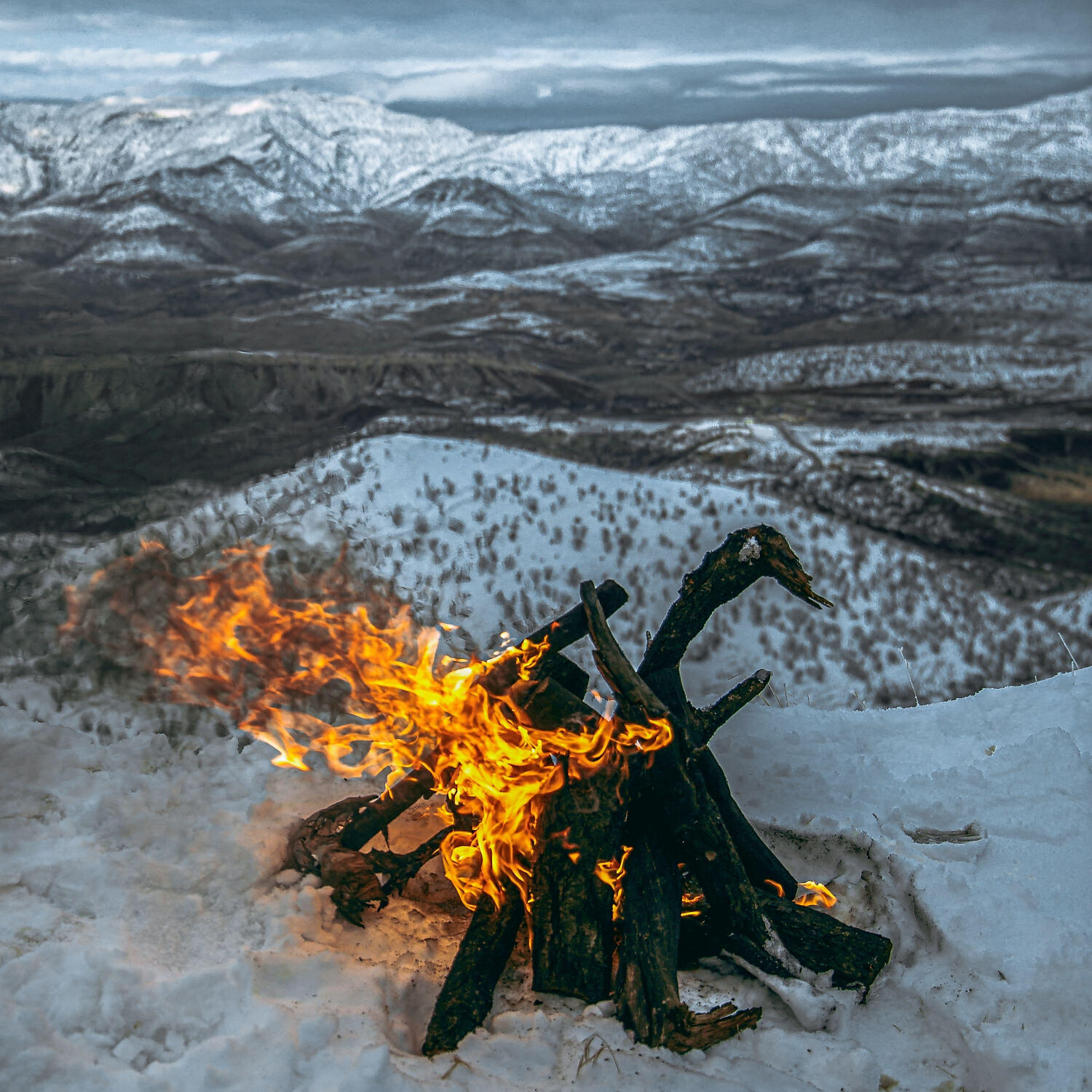 Постер альбома Sounds of Nature: Winter Fireplace