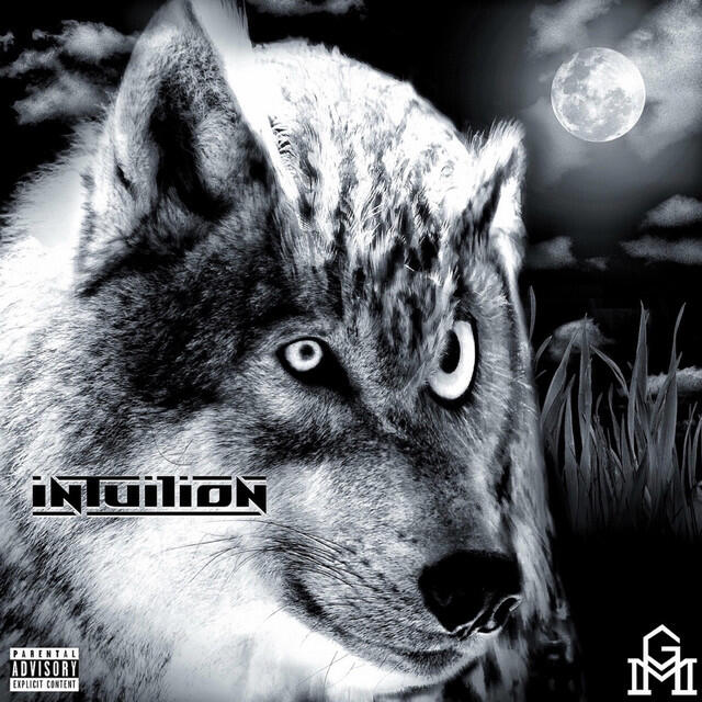 Релиз Intuition