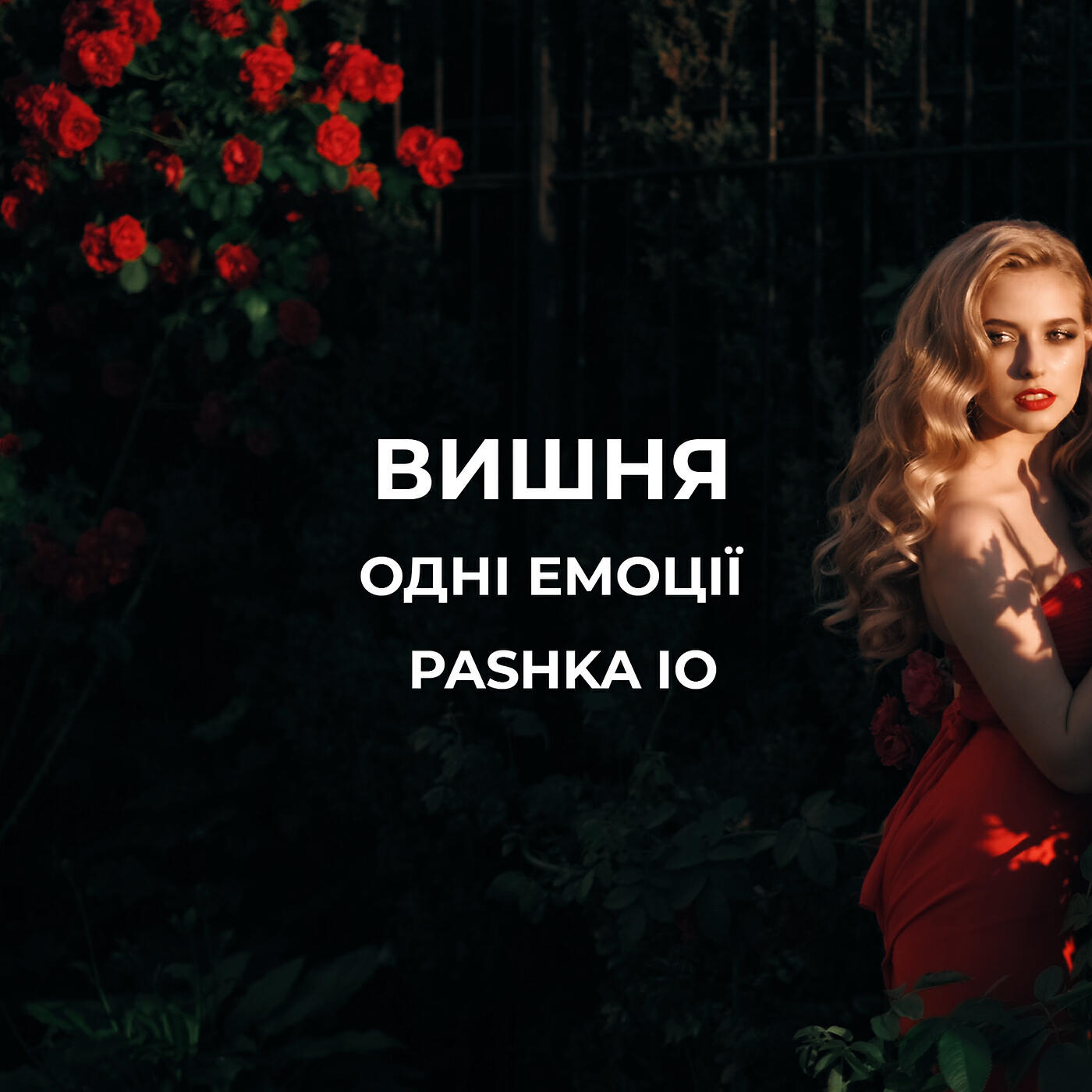 Релиз Вишня