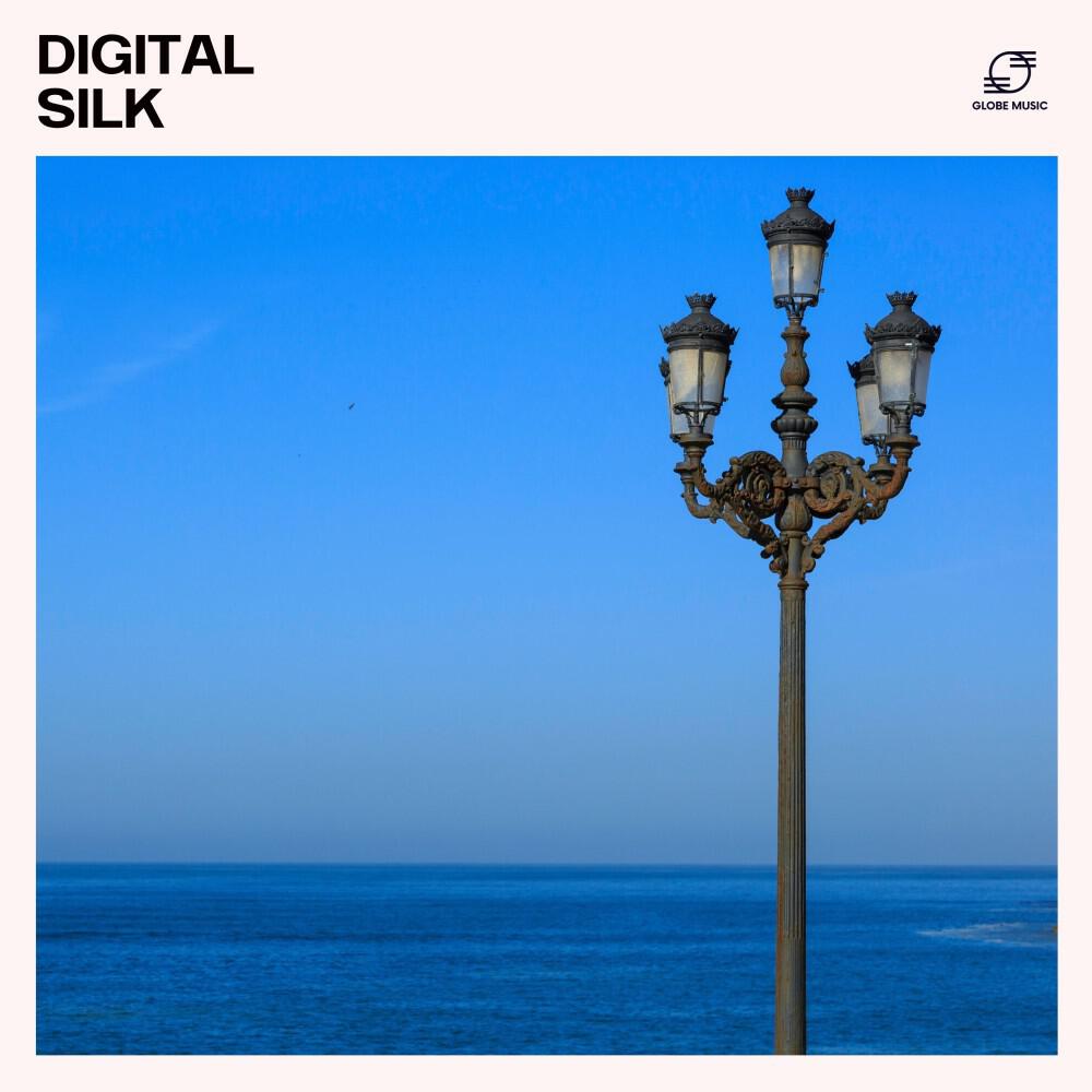 Релиз Digital Silk