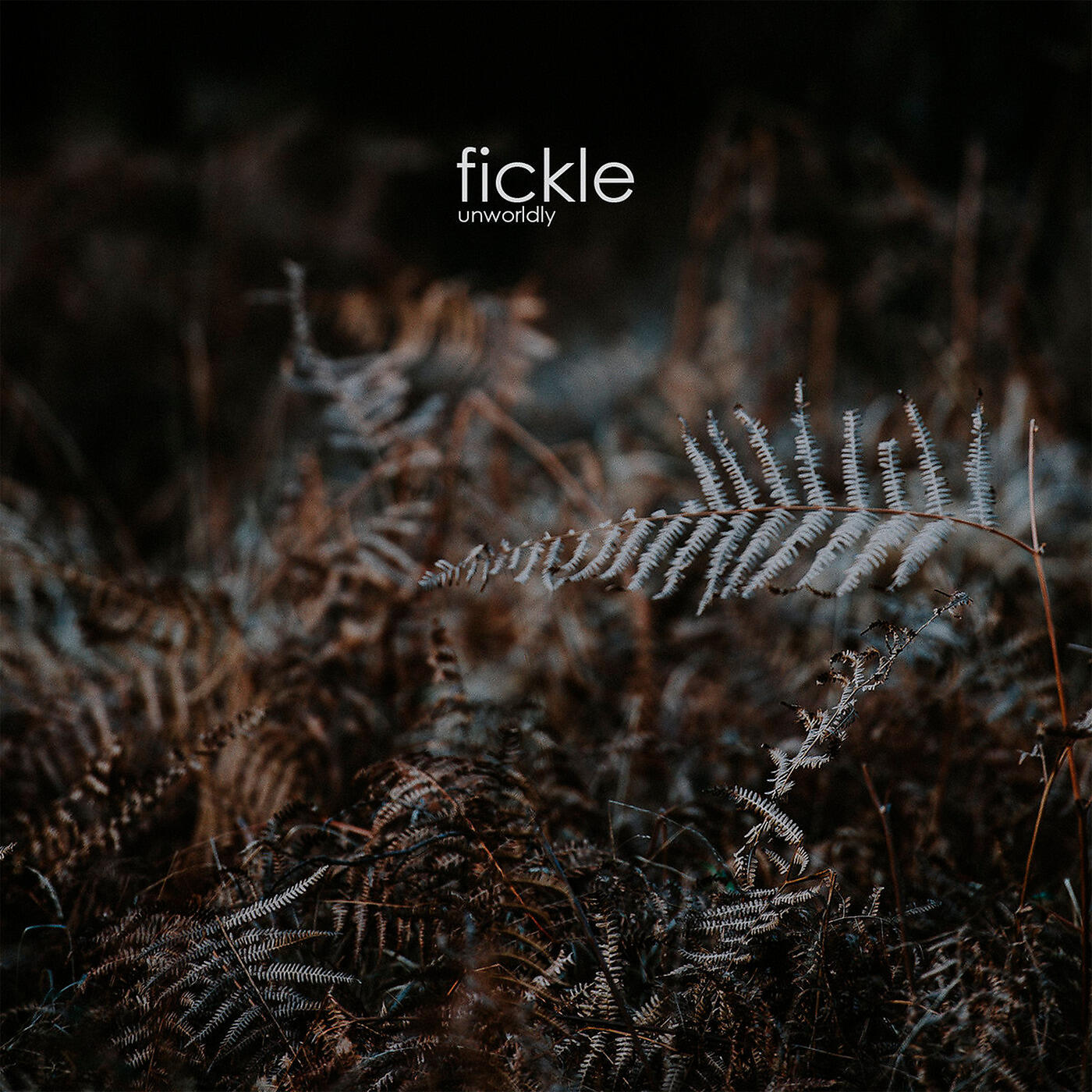 Релиз Fickle
