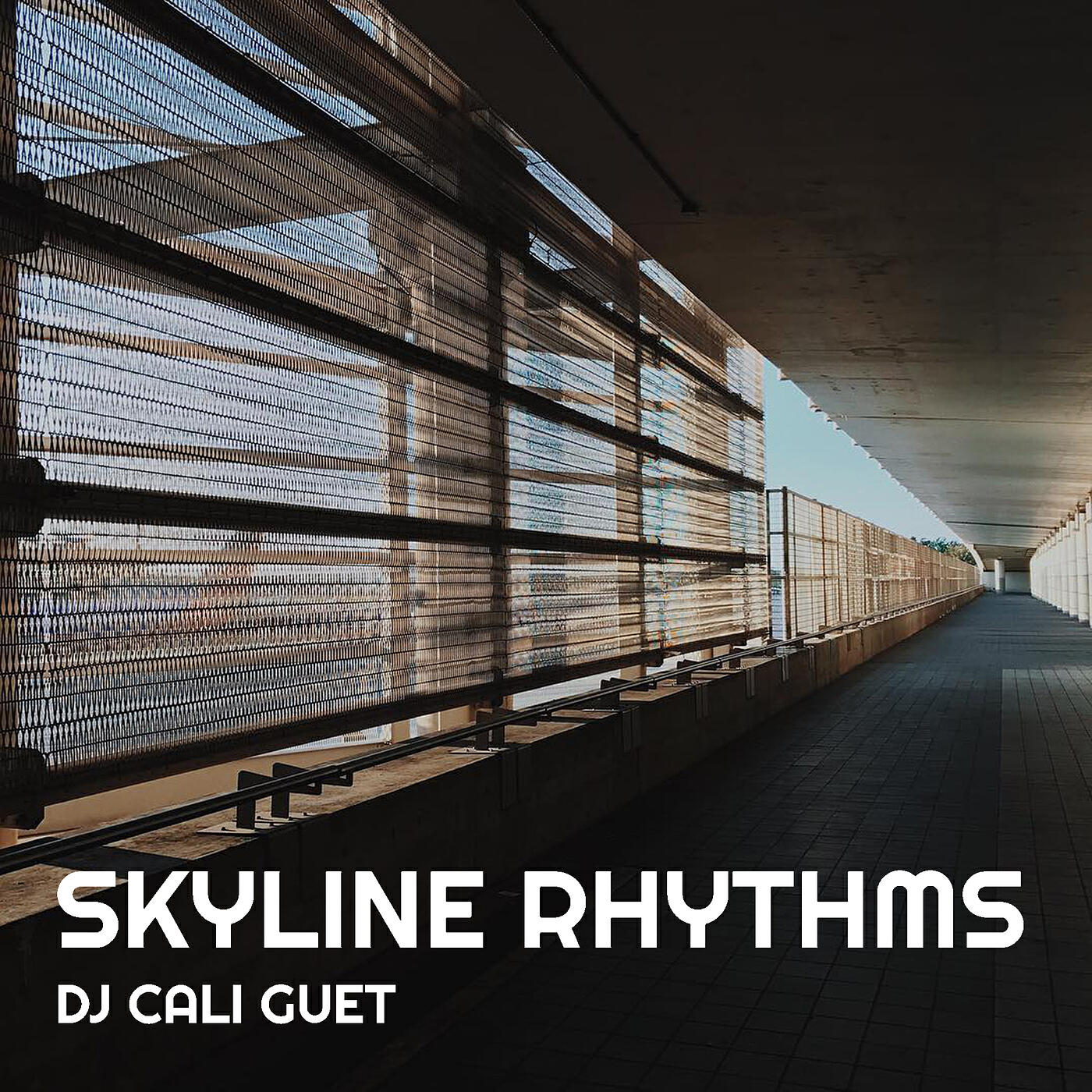 Релиз Skyline Rhythms