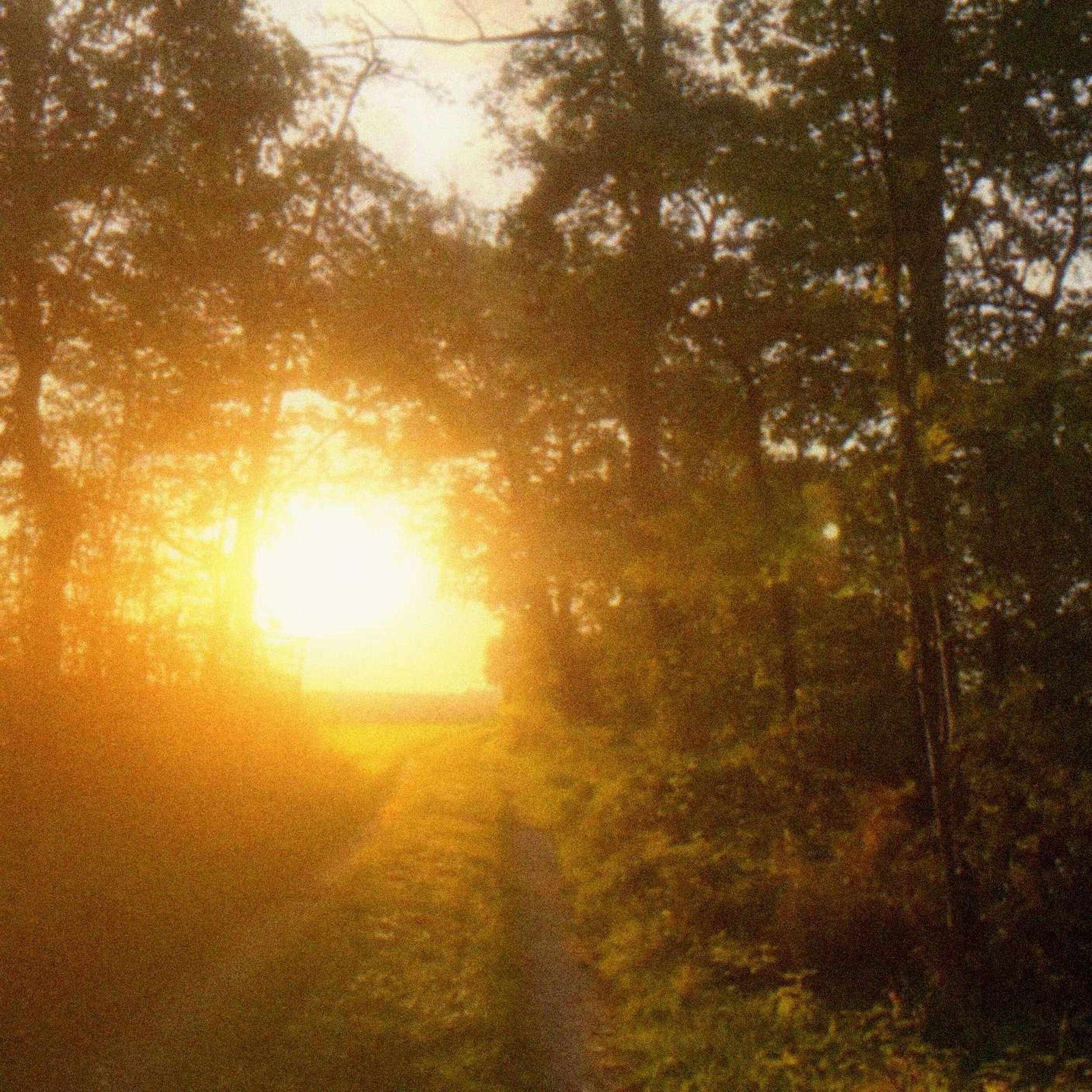 Релиз sunpause