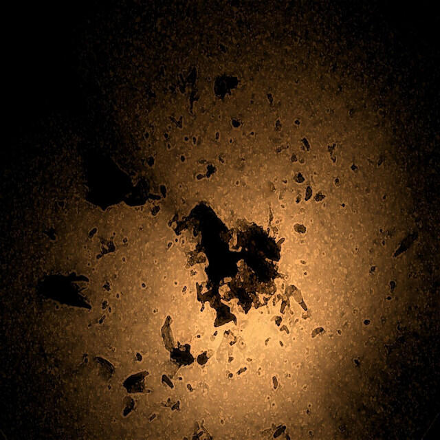 Релиз Garden of Menace