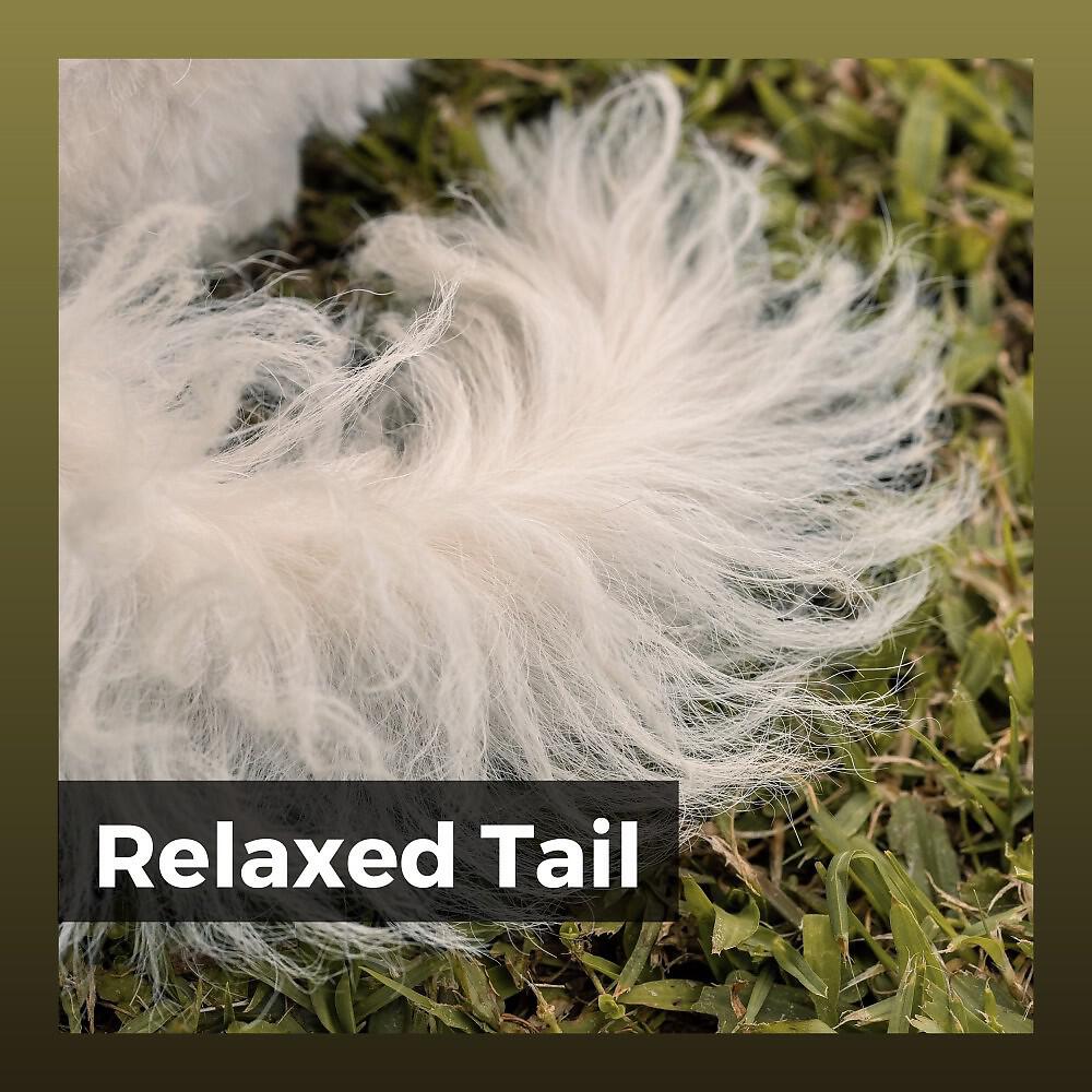 Релиз Relaxed Tail