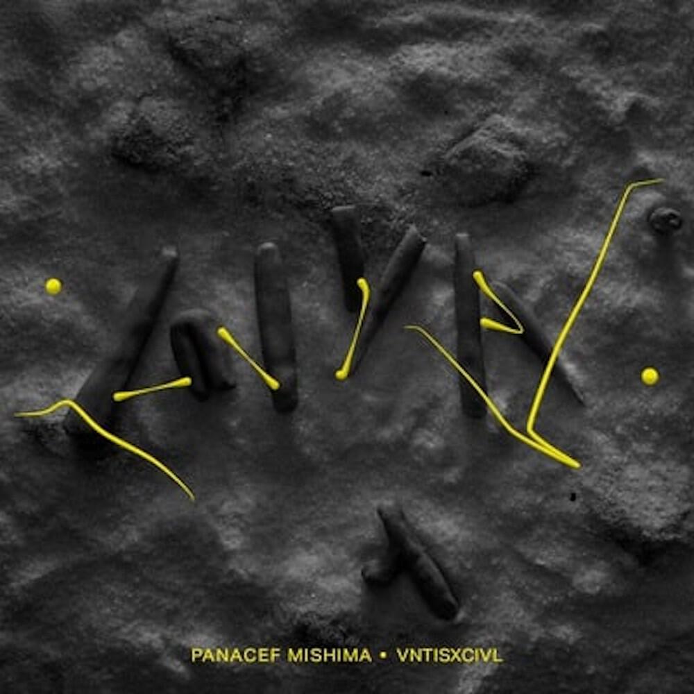Релиз Vntisxcivl